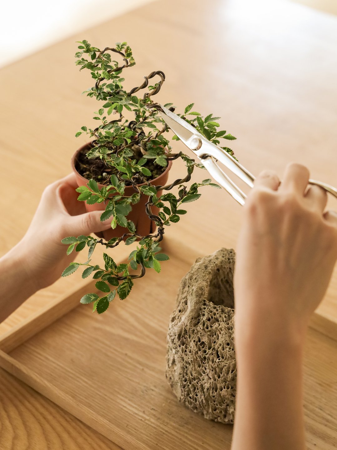 Natural-Froms-02.jpg