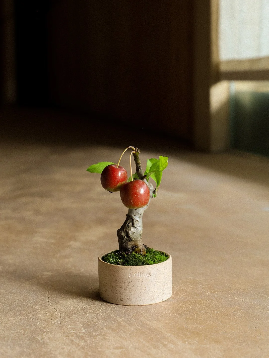 crabapple02.jpg