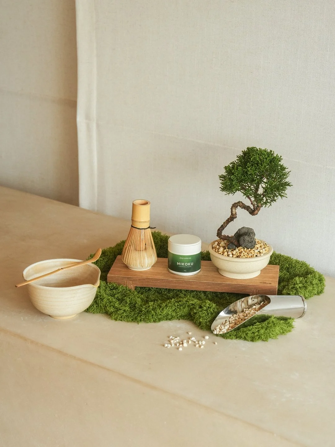 Soilboy Bonsai x All Day Matcha Club Workshop