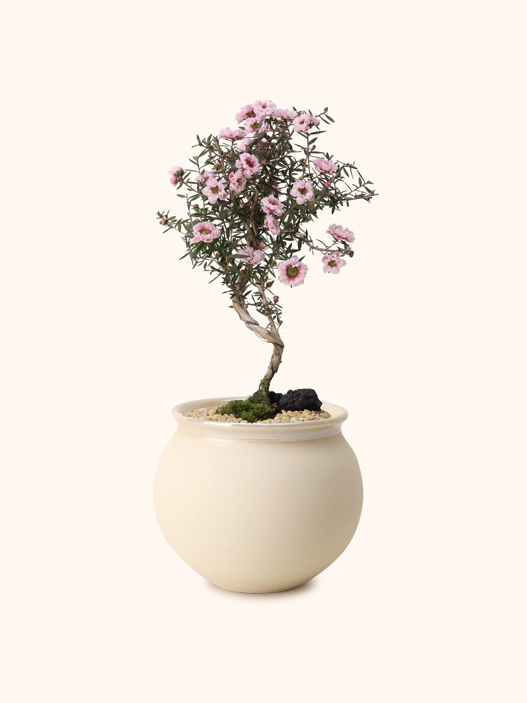 manuka_pearl-moon.jpg
