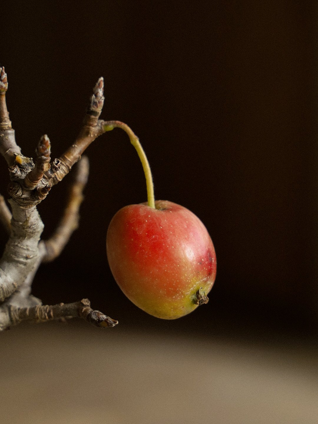 crabapple05-cu.jpg