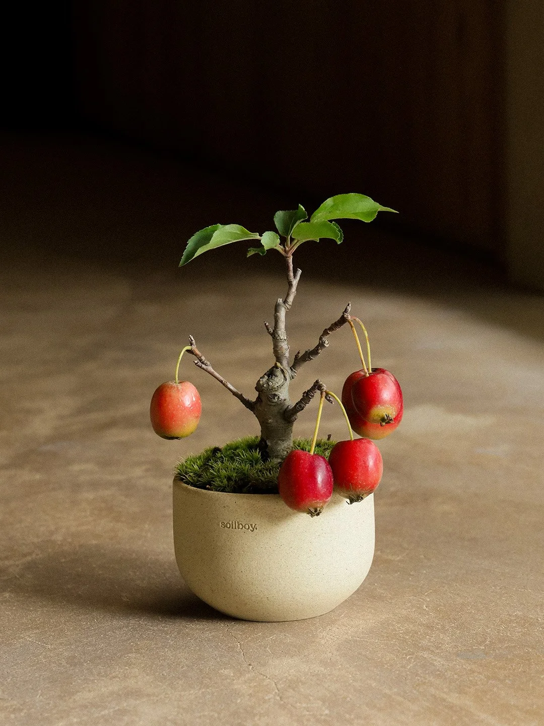 crabapple03.jpg