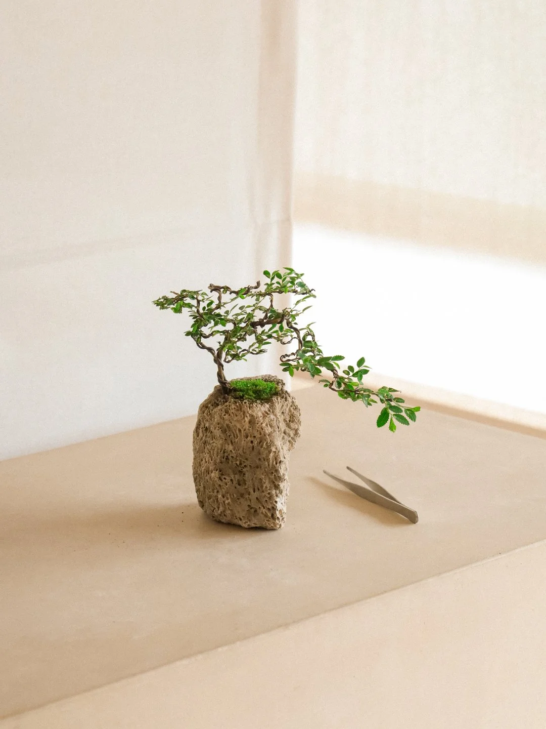Natural-Froms-05.jpg