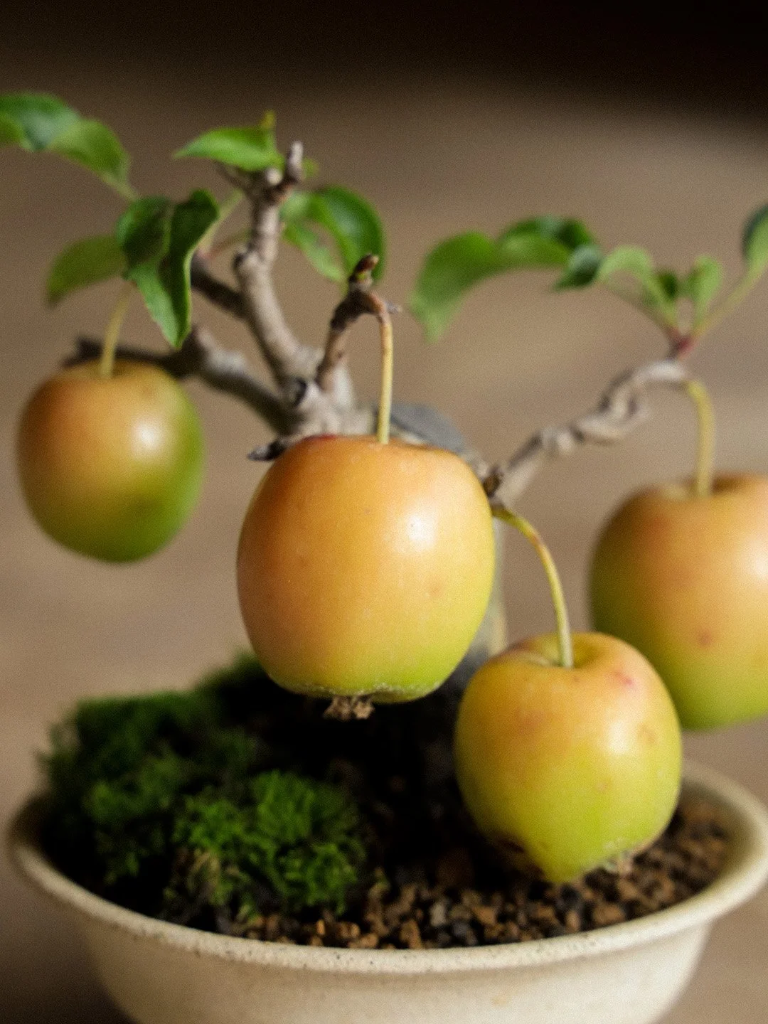 crabapple04-cu.jpg