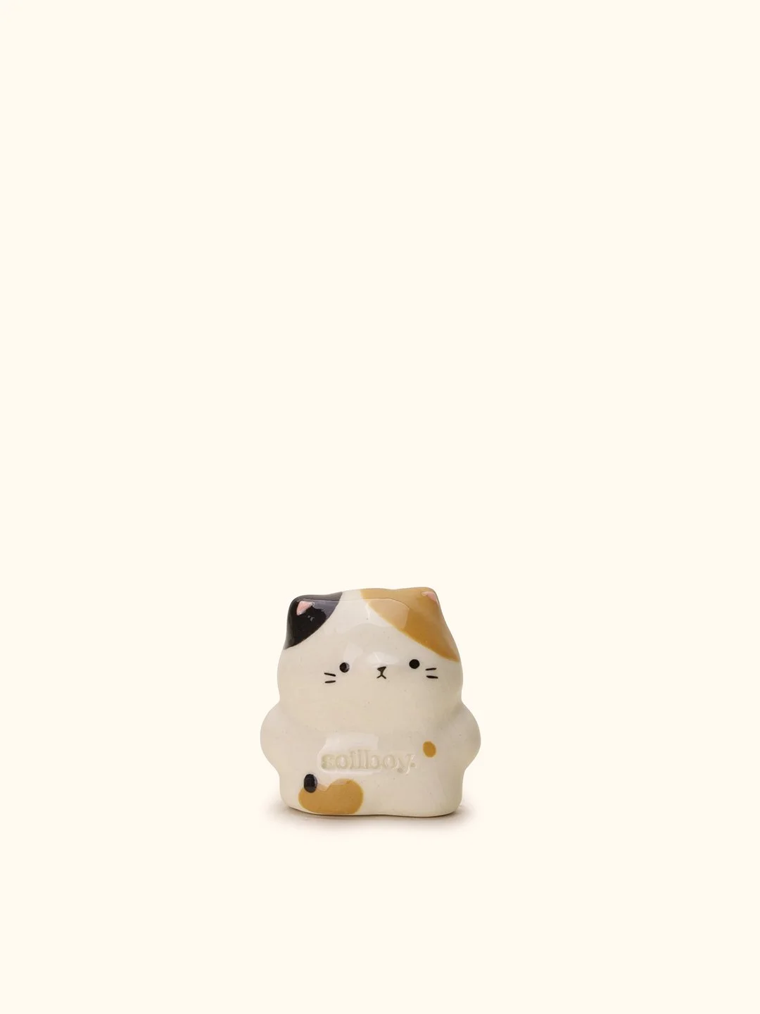 Spotted-Cat-Front.jpg