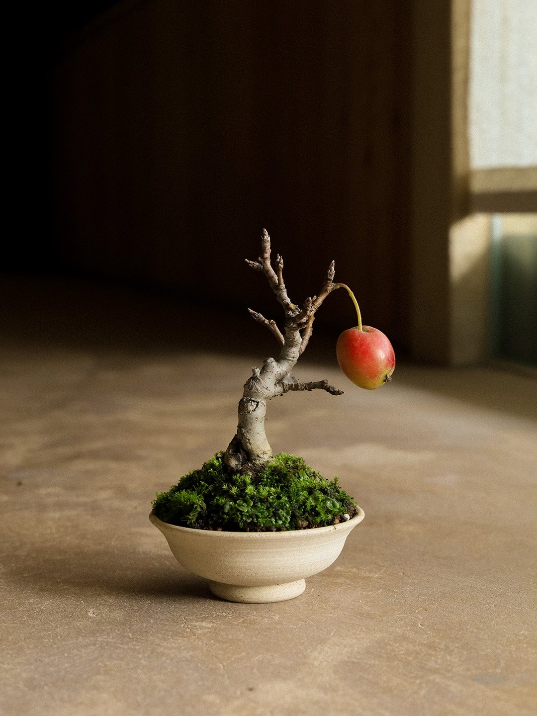 crabapple05.jpg