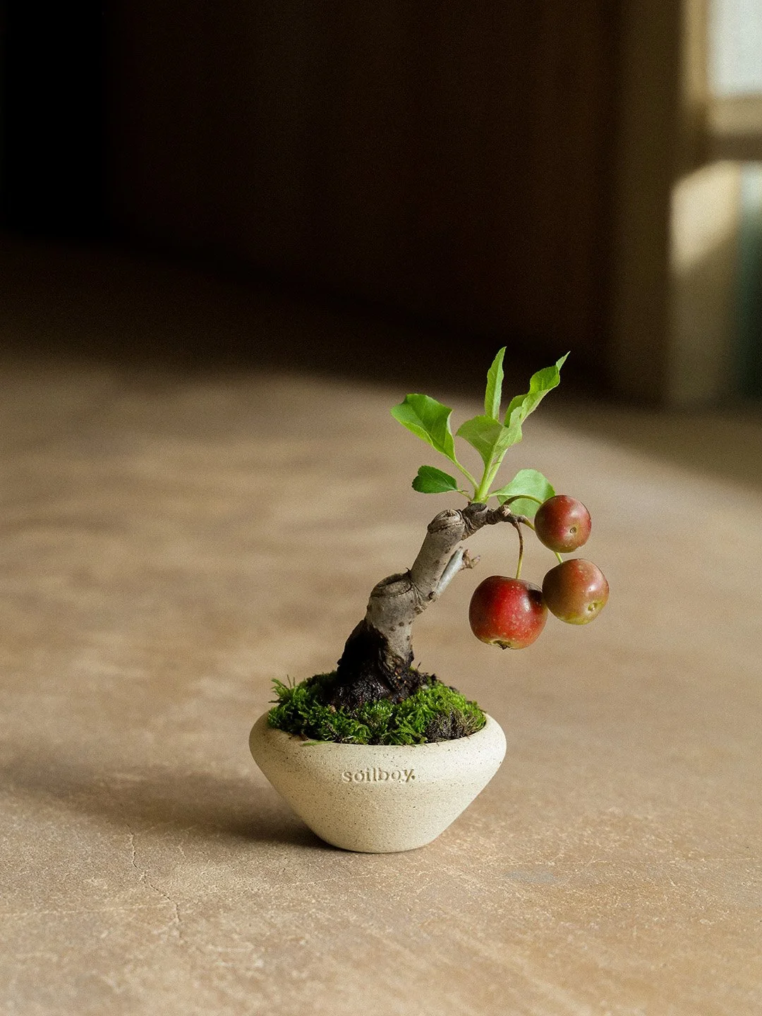 crabapple01.jpg