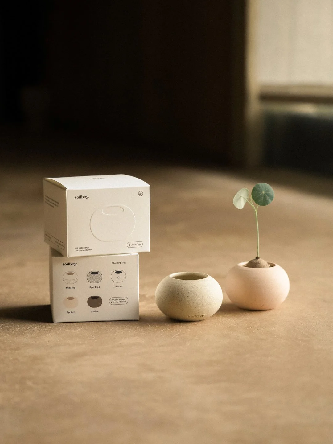 Soilboy Mini Donut Blindpot: Series One