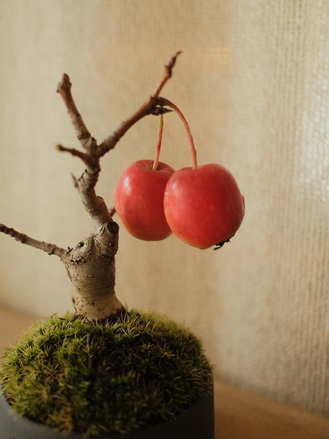 crabapple-cu.jpg (Copy)