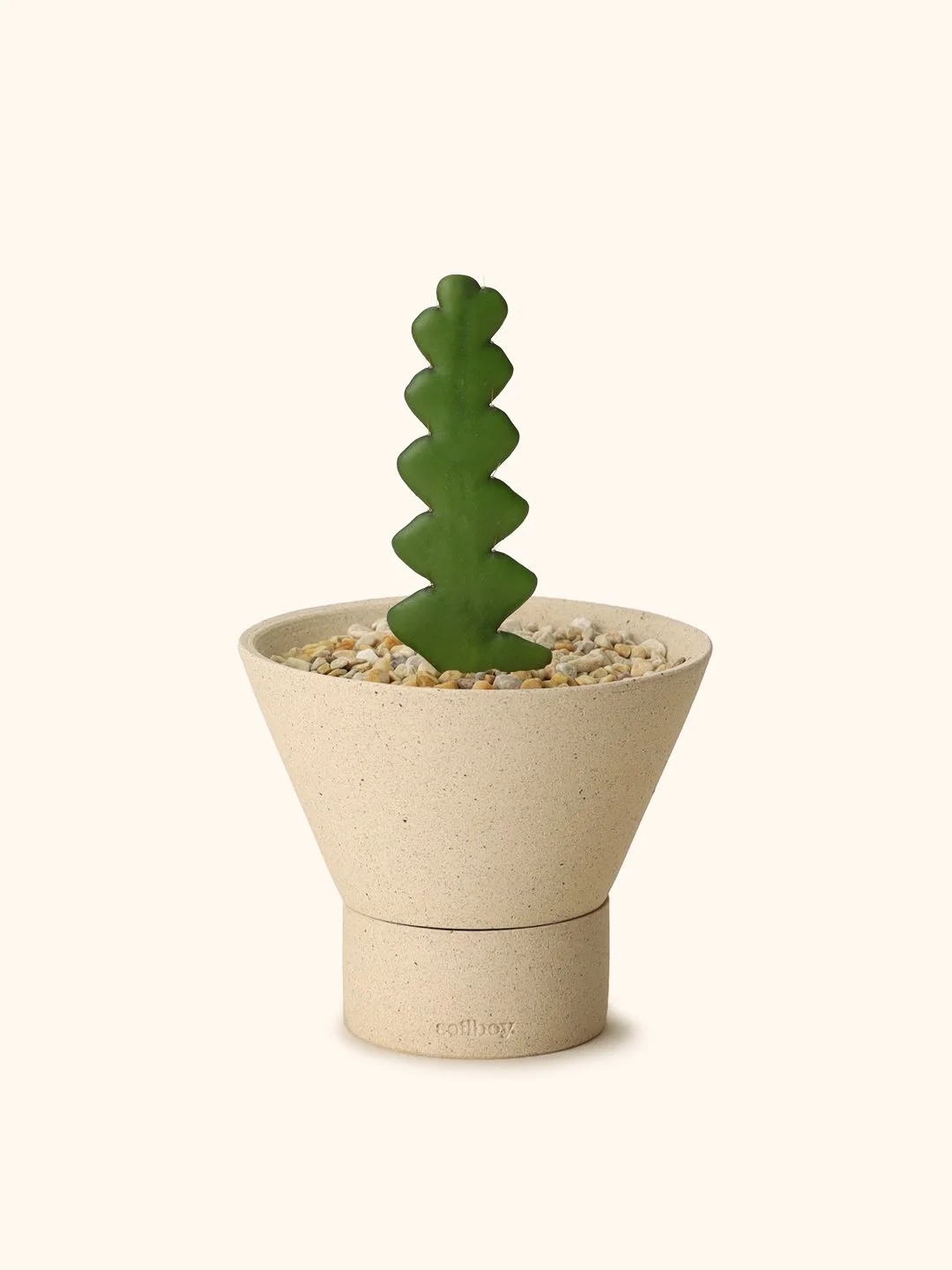fishbone-cactus-y-shape.jpg