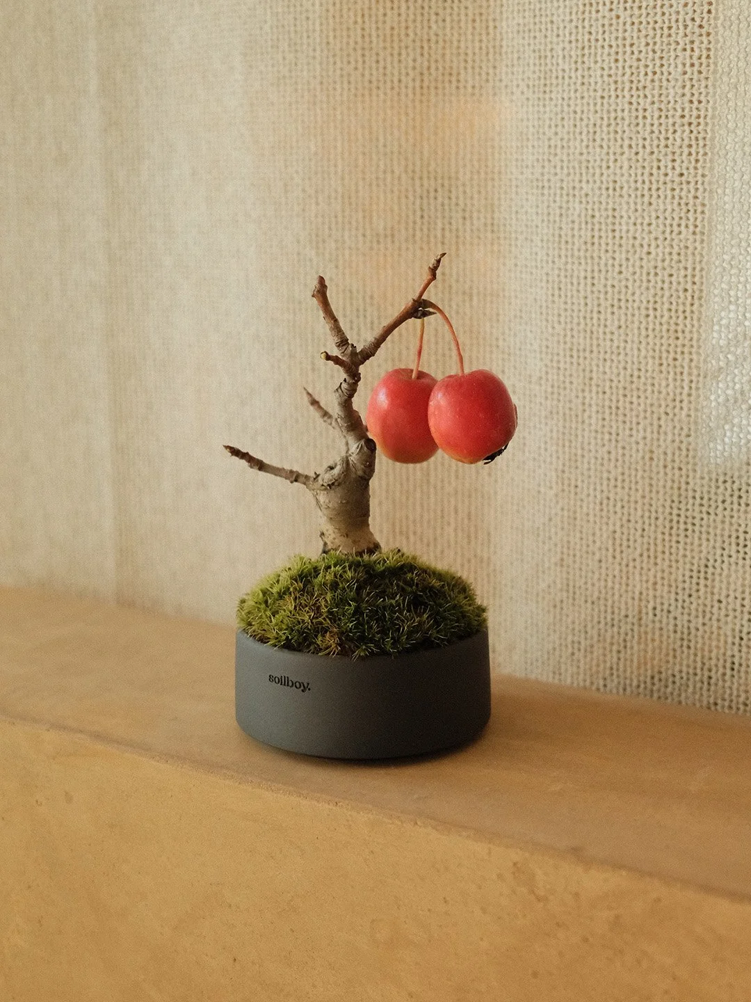 crabapple06.jpg (Copy)