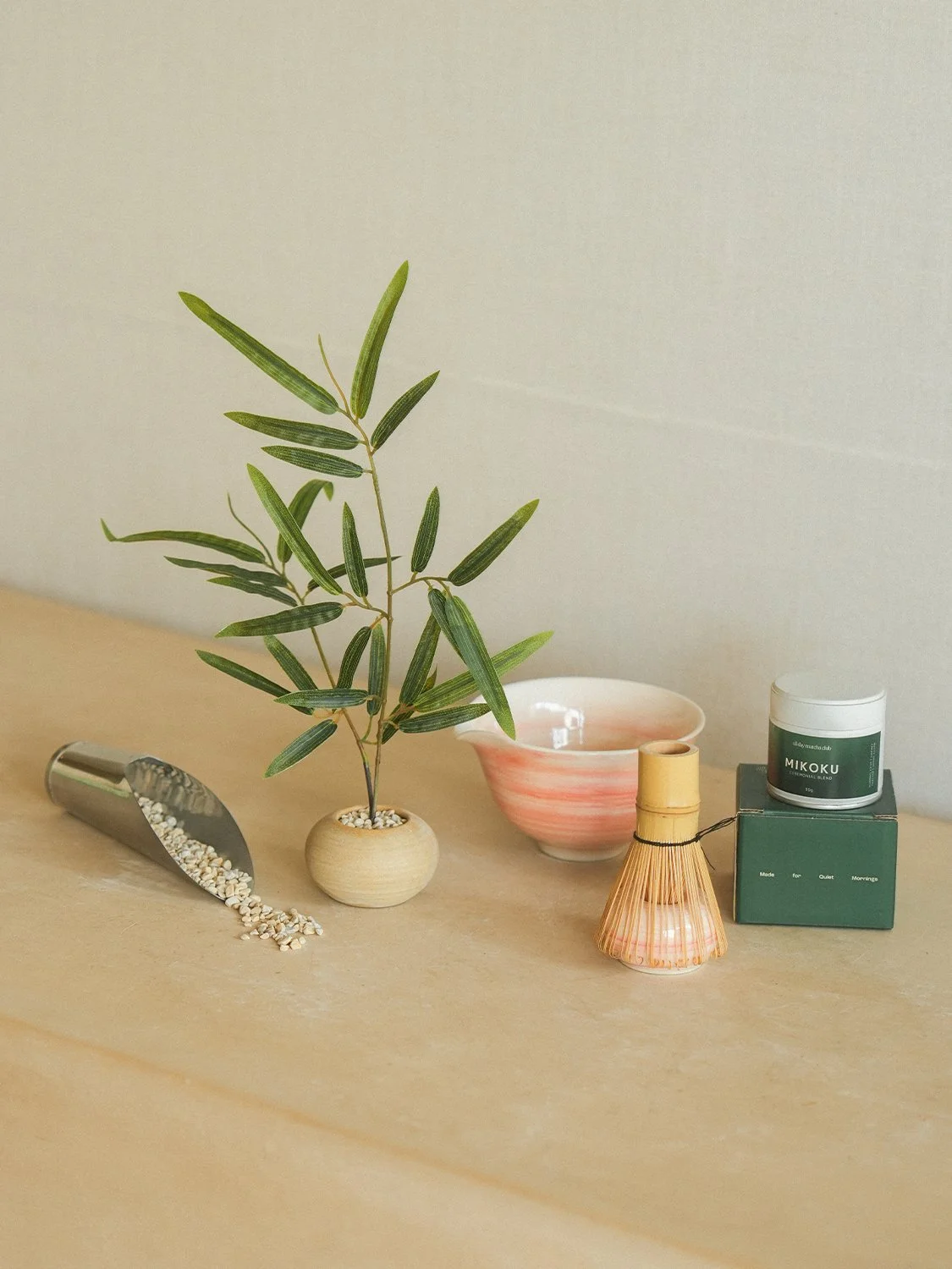 Mother's Day Workshop for Two : Plant Styling & Matcha Appreciation