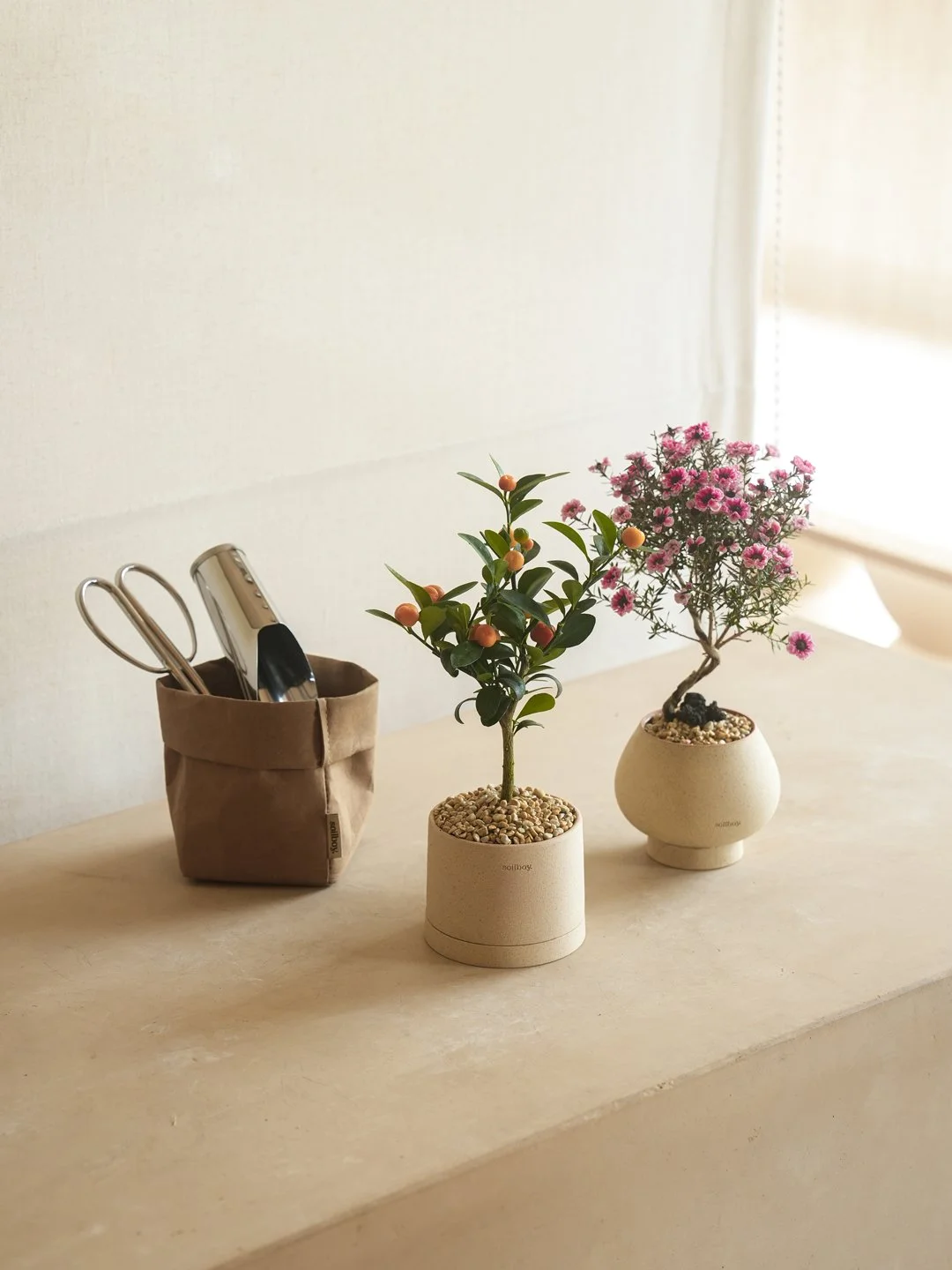 Couples' Repotting Workshop : Mini Citrus Tree x Manuka myrtle