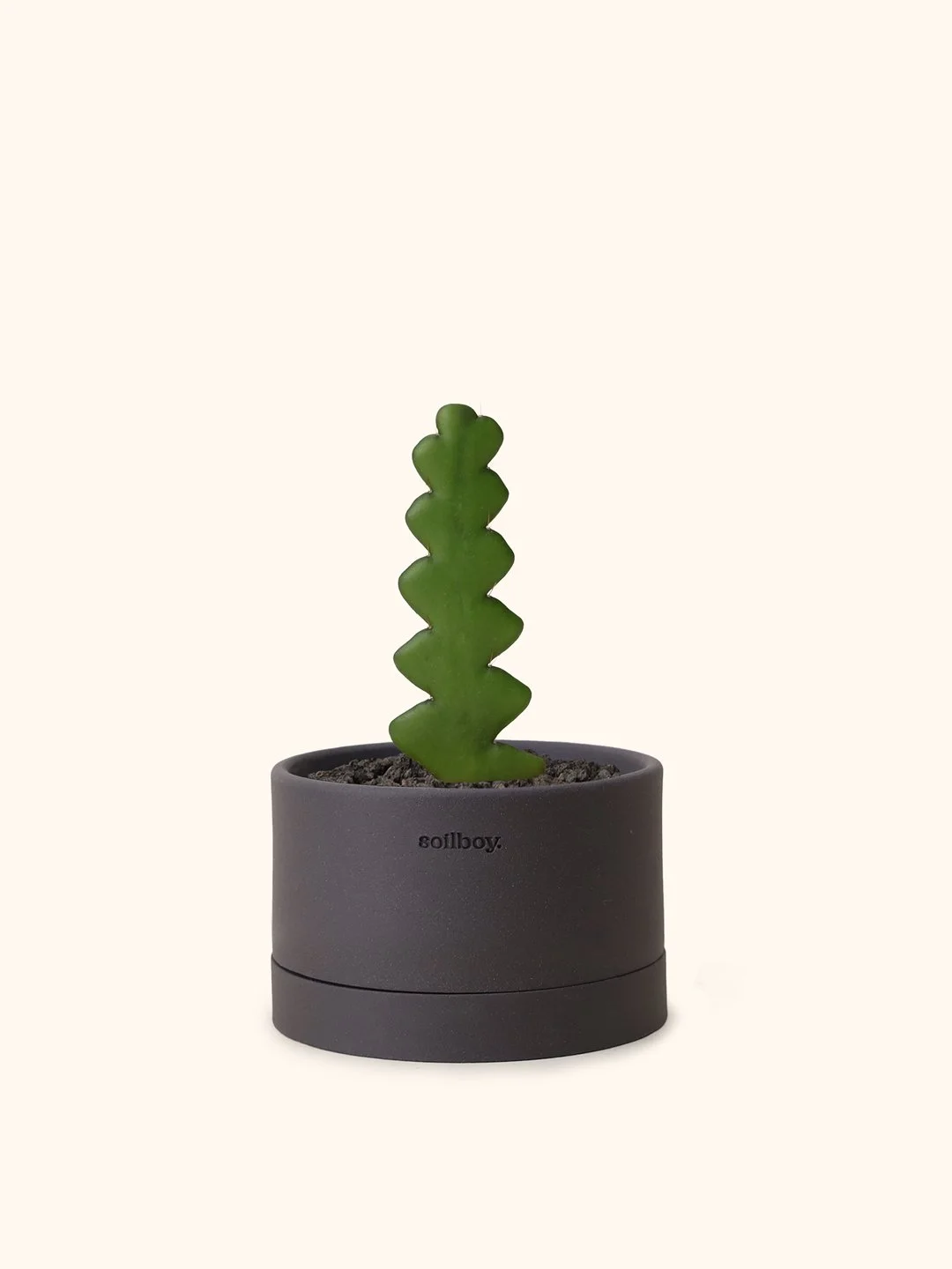 fishbone-cactus-flat-c.jpg