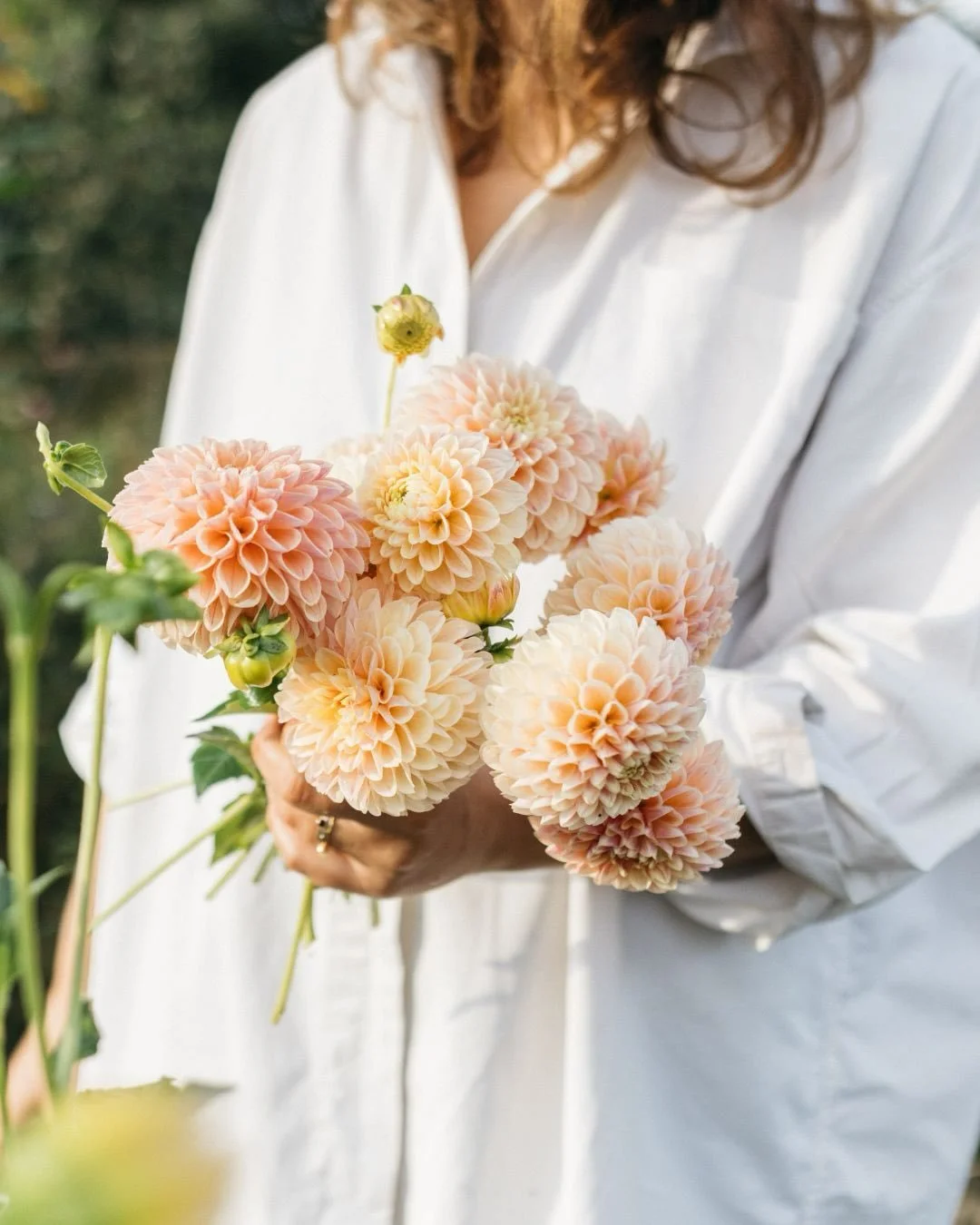 Blockprint @MAY&amp;JUNE garden fest