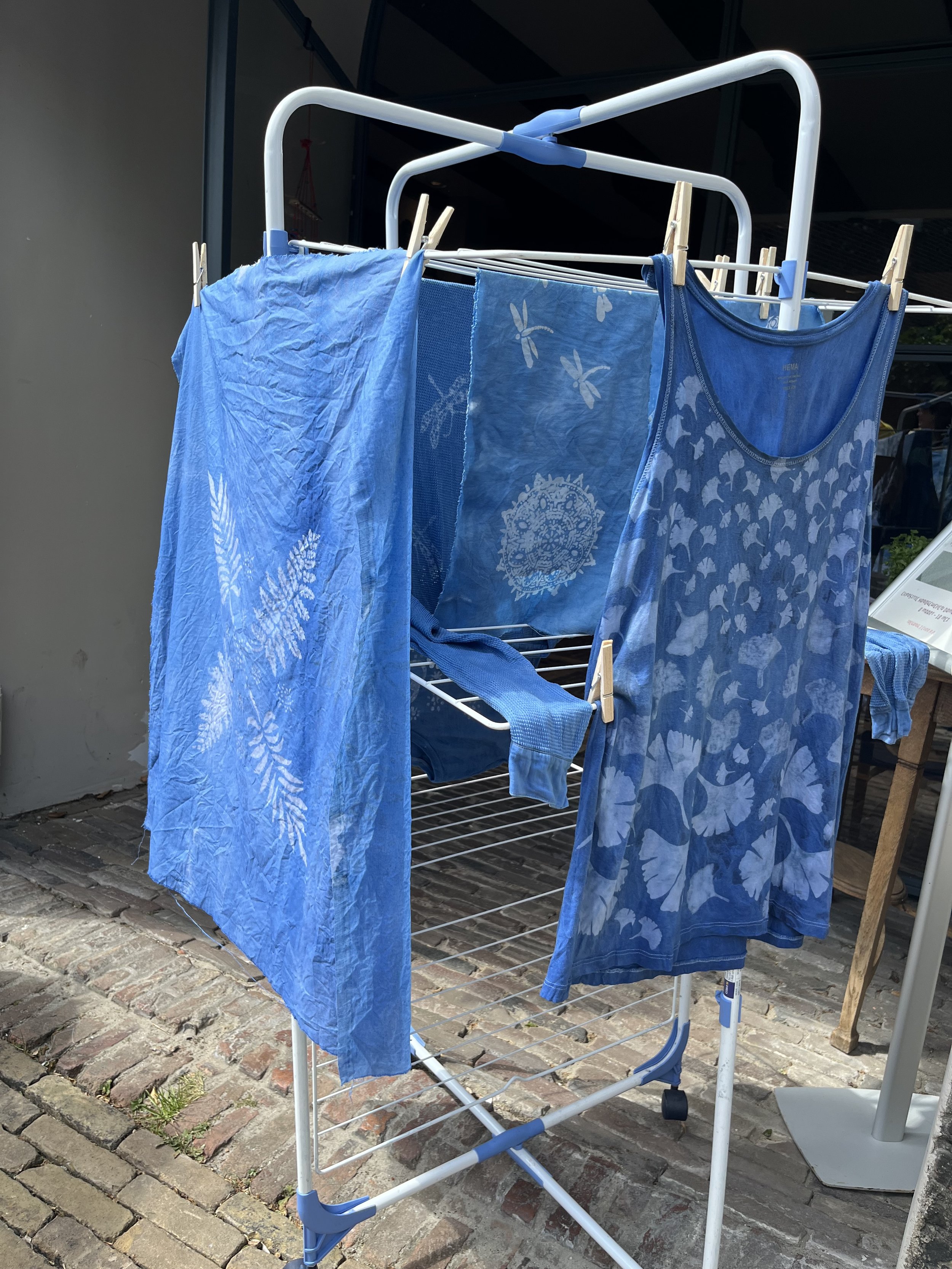 Masterclass Blauwdruk i.s.m. Marte Haverkamp voor de Stichting Staphorster Stipwerk, 16 mei 2025