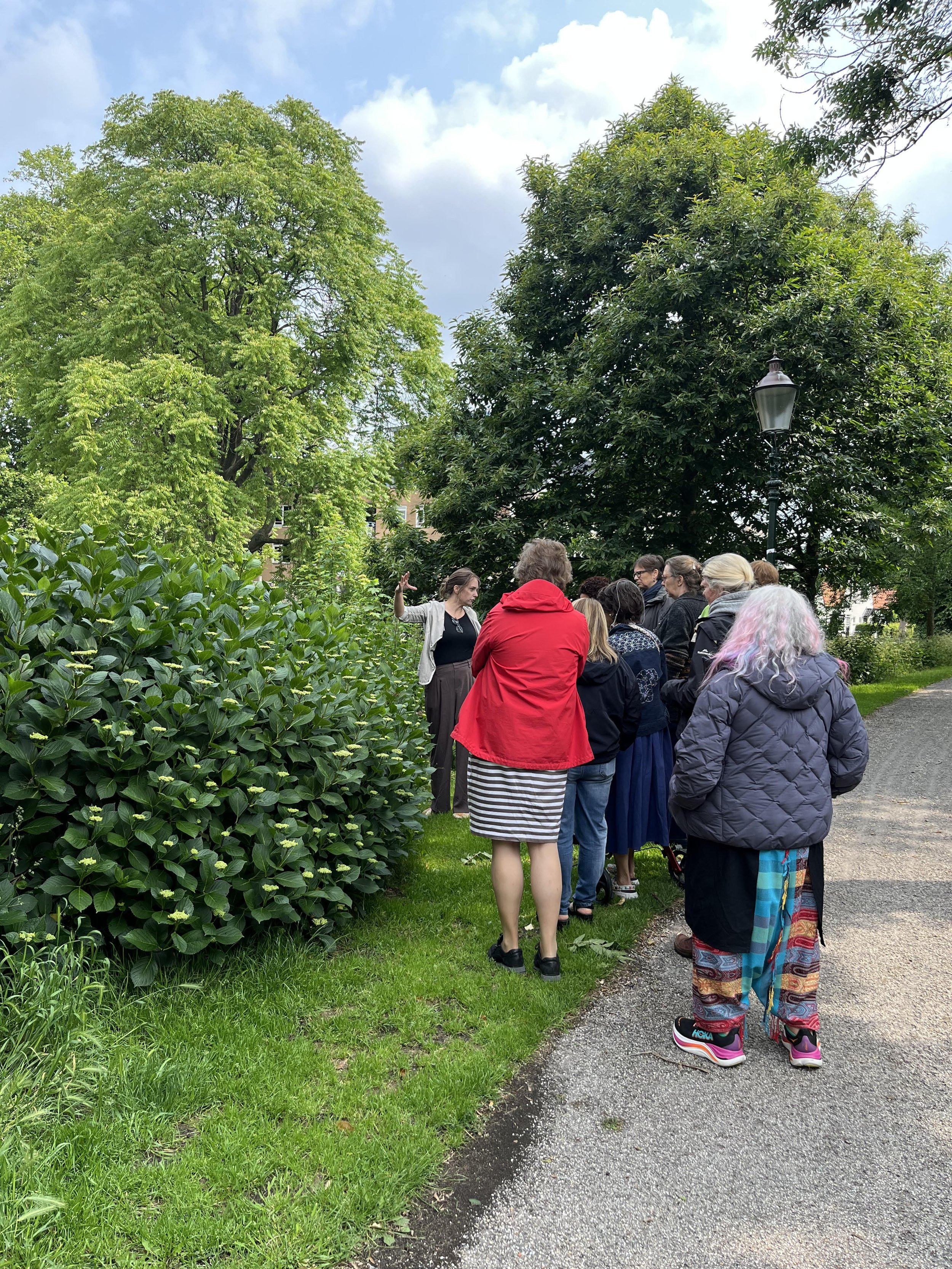 Workshop Botanisch Printen i.c.m. Kleuren door gastdocent Suzanne Dekel, 9-11 juni 2025