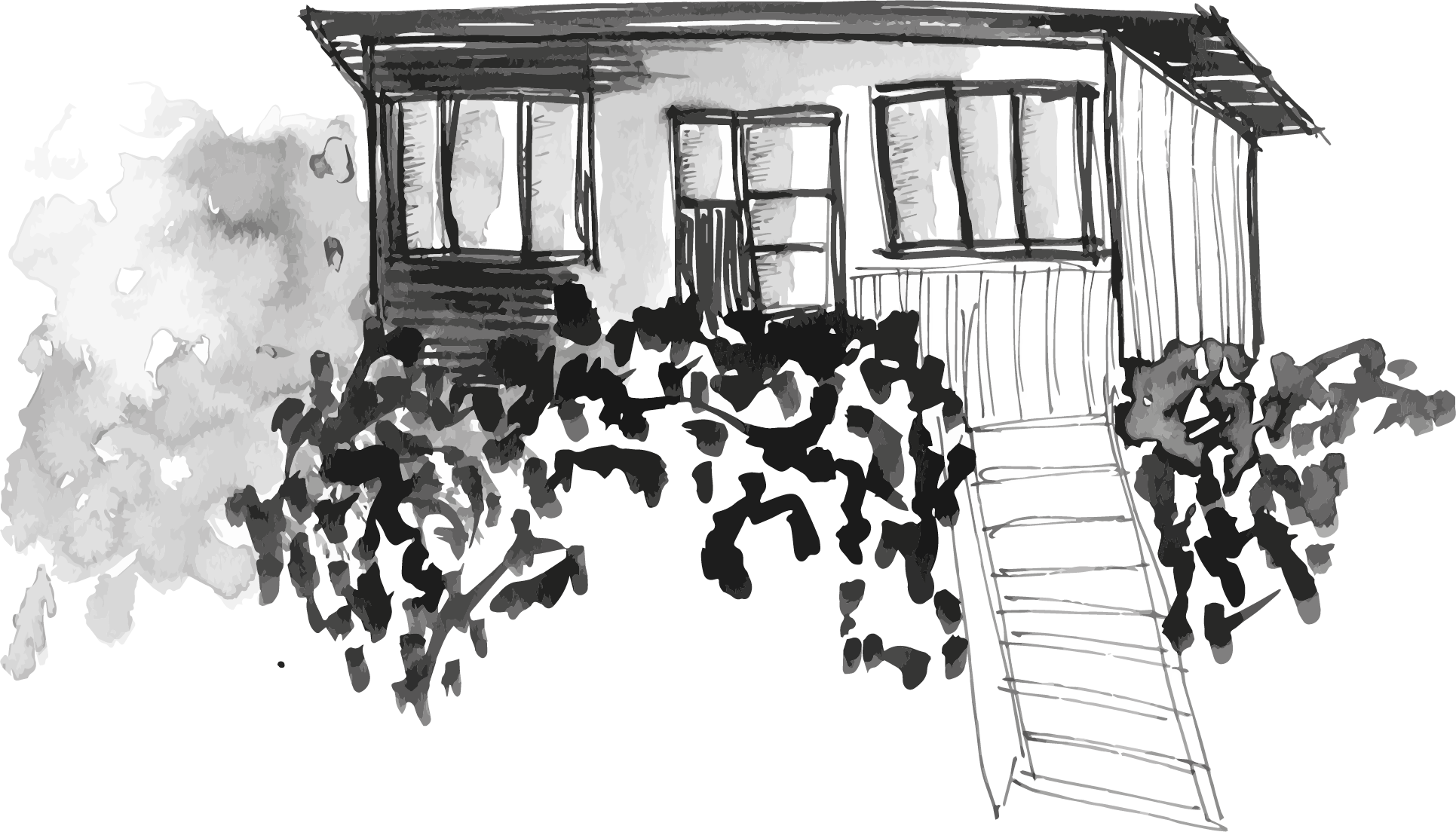 Lids_2020_House.png