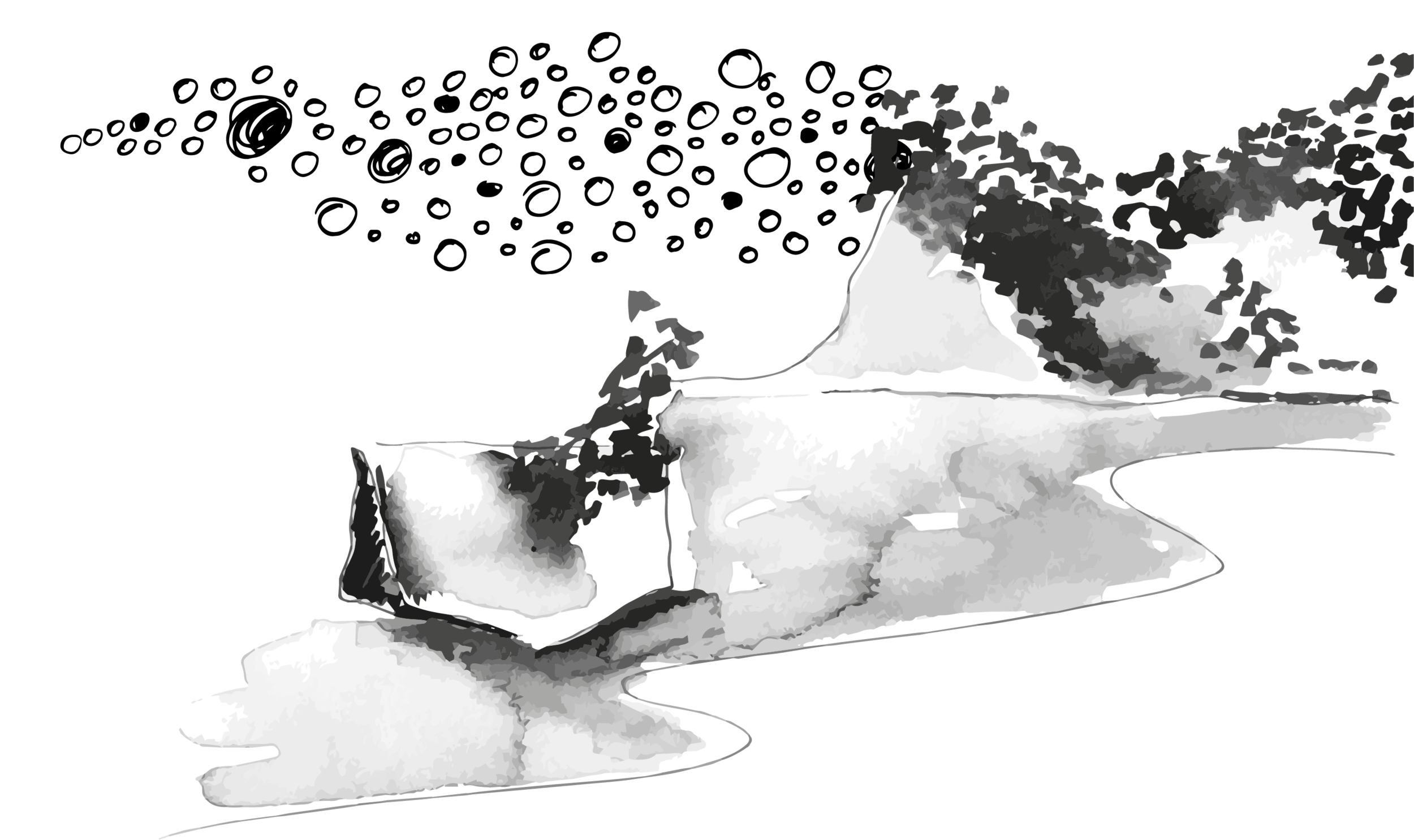 Lids_2020_landscape and dots.png
