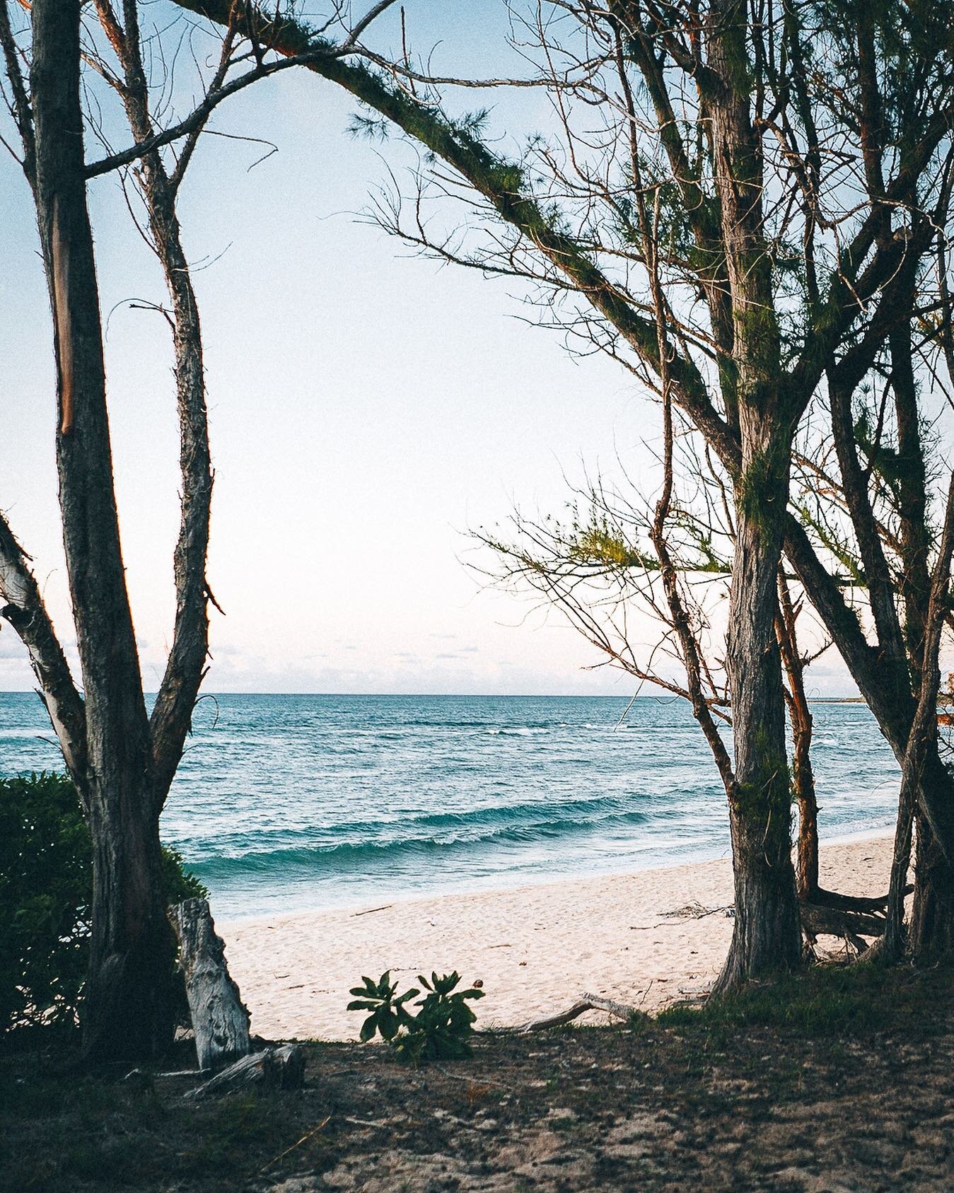 All of humanity&lsquo;s problems stem from our inability to sit quietly in a room alone.
- Blaise Pascal

I couldn&rsquo;t agree more. Do you?

Shot on Sony a7iii + 28mm 2.0