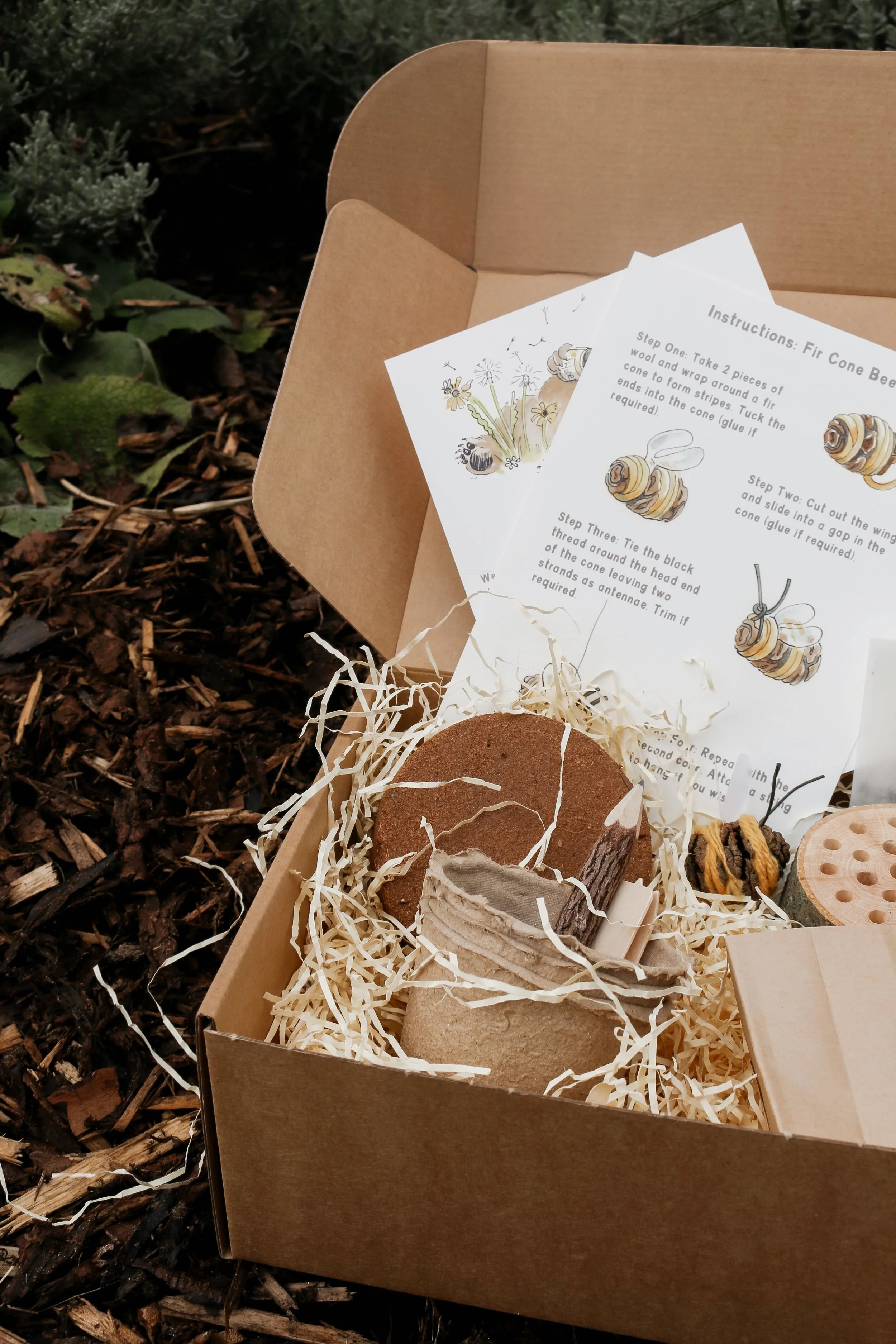 Let's Grow Bee-utiful Wildflowers