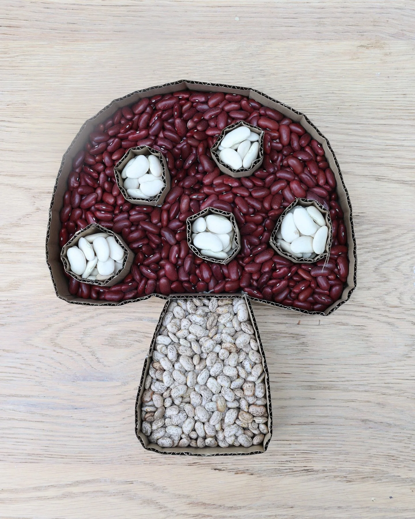 An autumn sensory tray, perfect to keep a little one busy and practice their fine motor skills 🍄 

#sesorytray #autumncraft