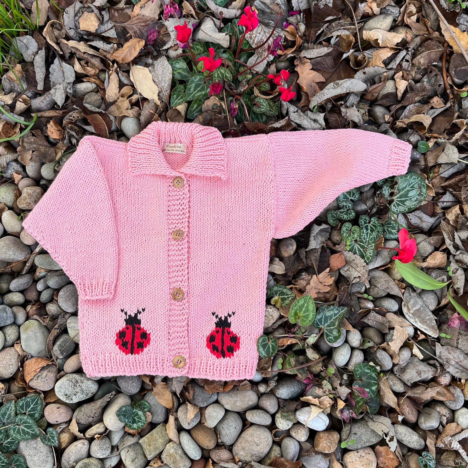 Ladybird decorative.jpeg