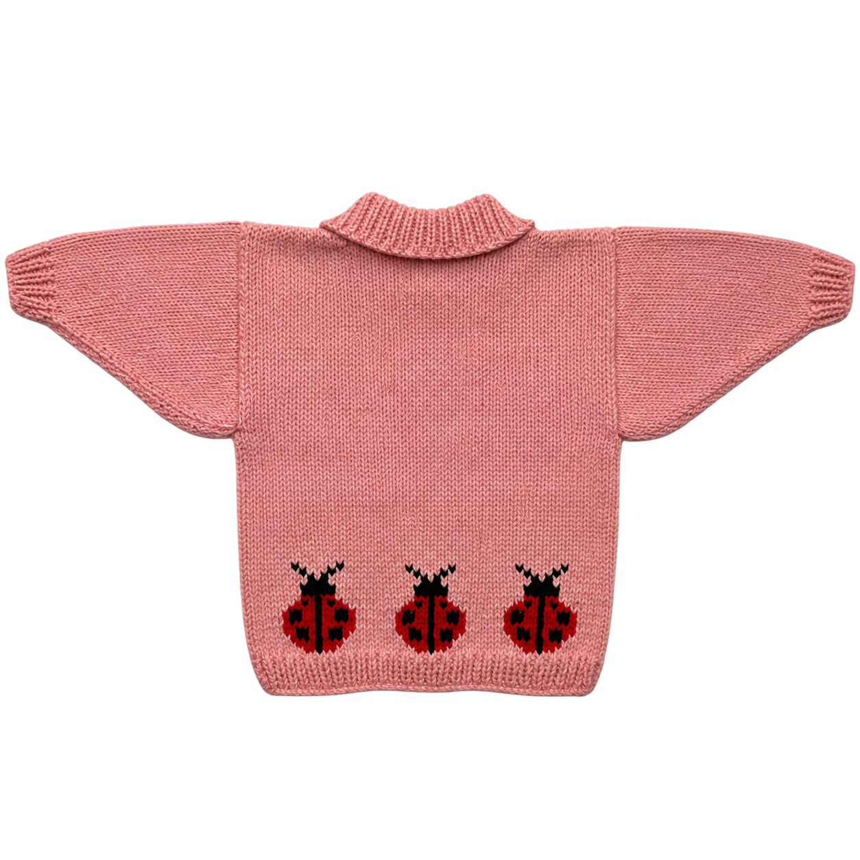 Ladybird Back.png