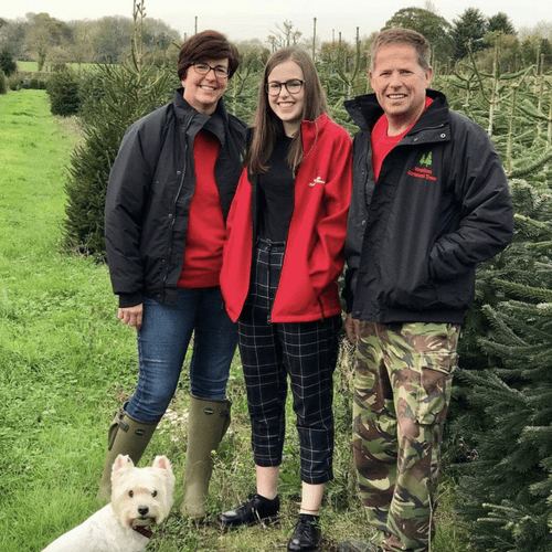 Wrentham Christmas Trees