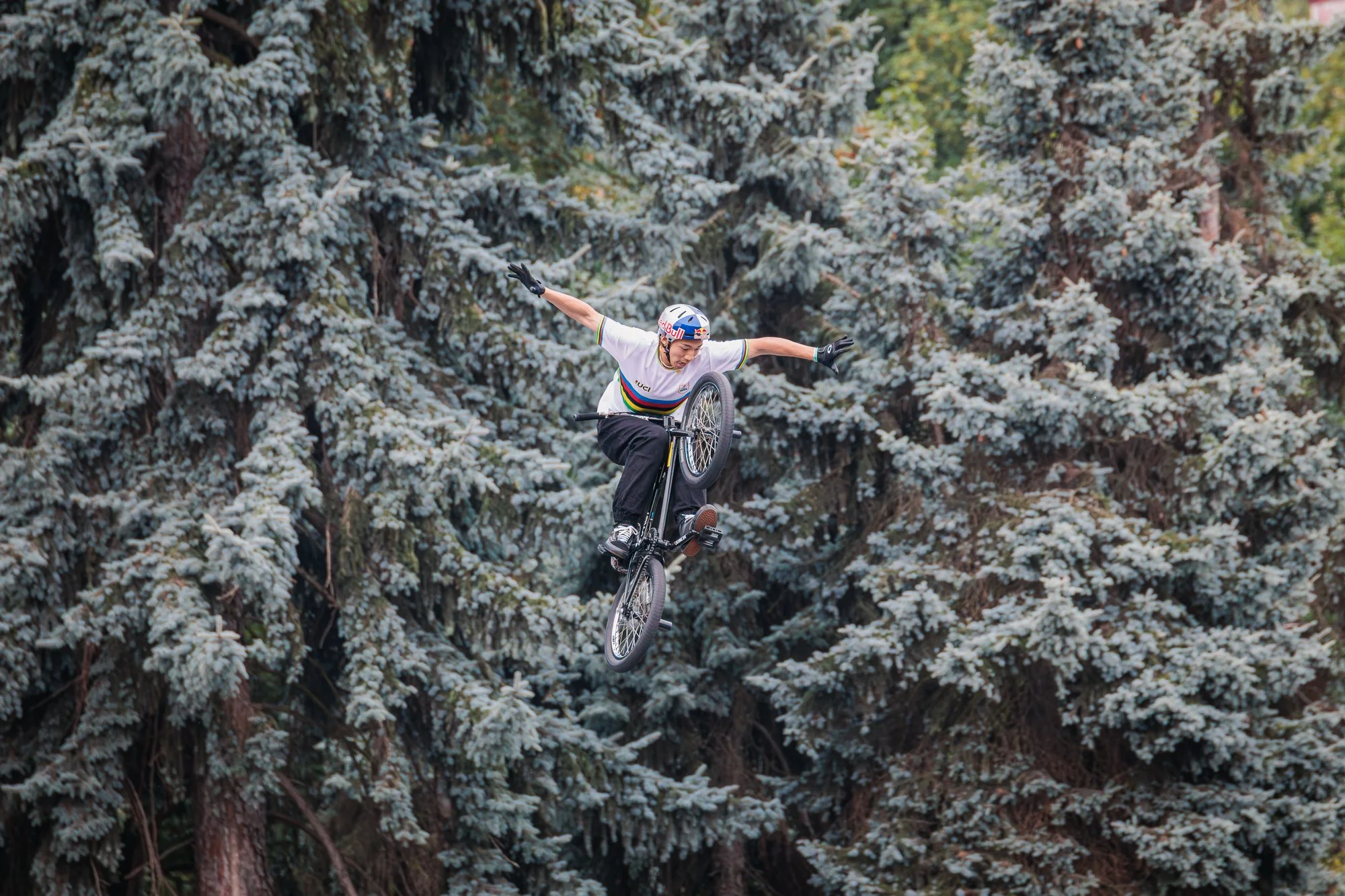 09072023-2P3A6318-Avec accentuation-Bruit.jpg