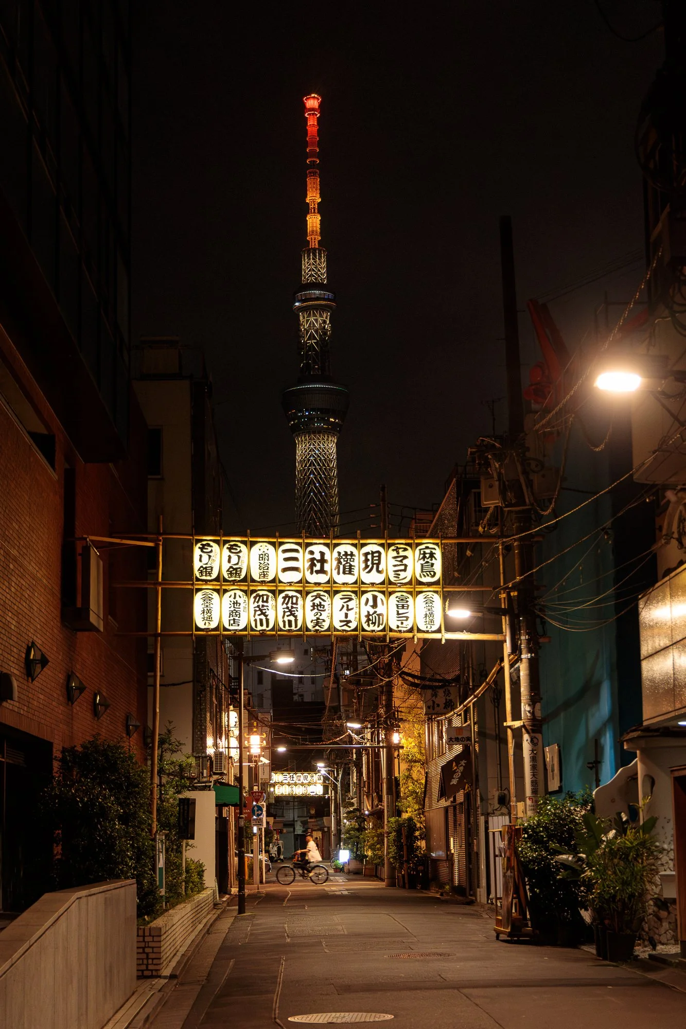 30042024-30042024-IS8A7696-Avec accentuation-Bruit.jpg