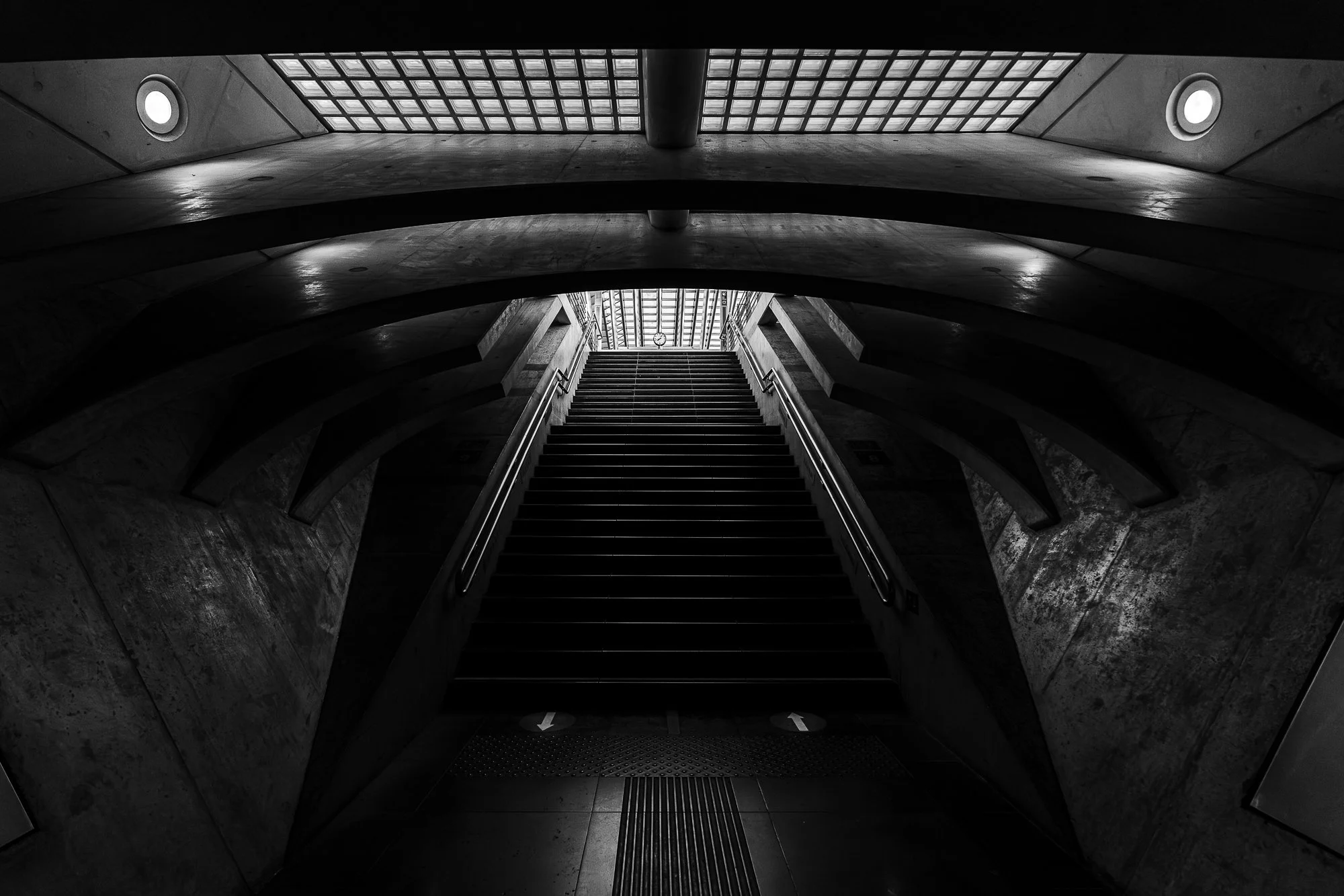 28042025-2P3A6174-Avec accentuation-Bruit-Modifier.jpg