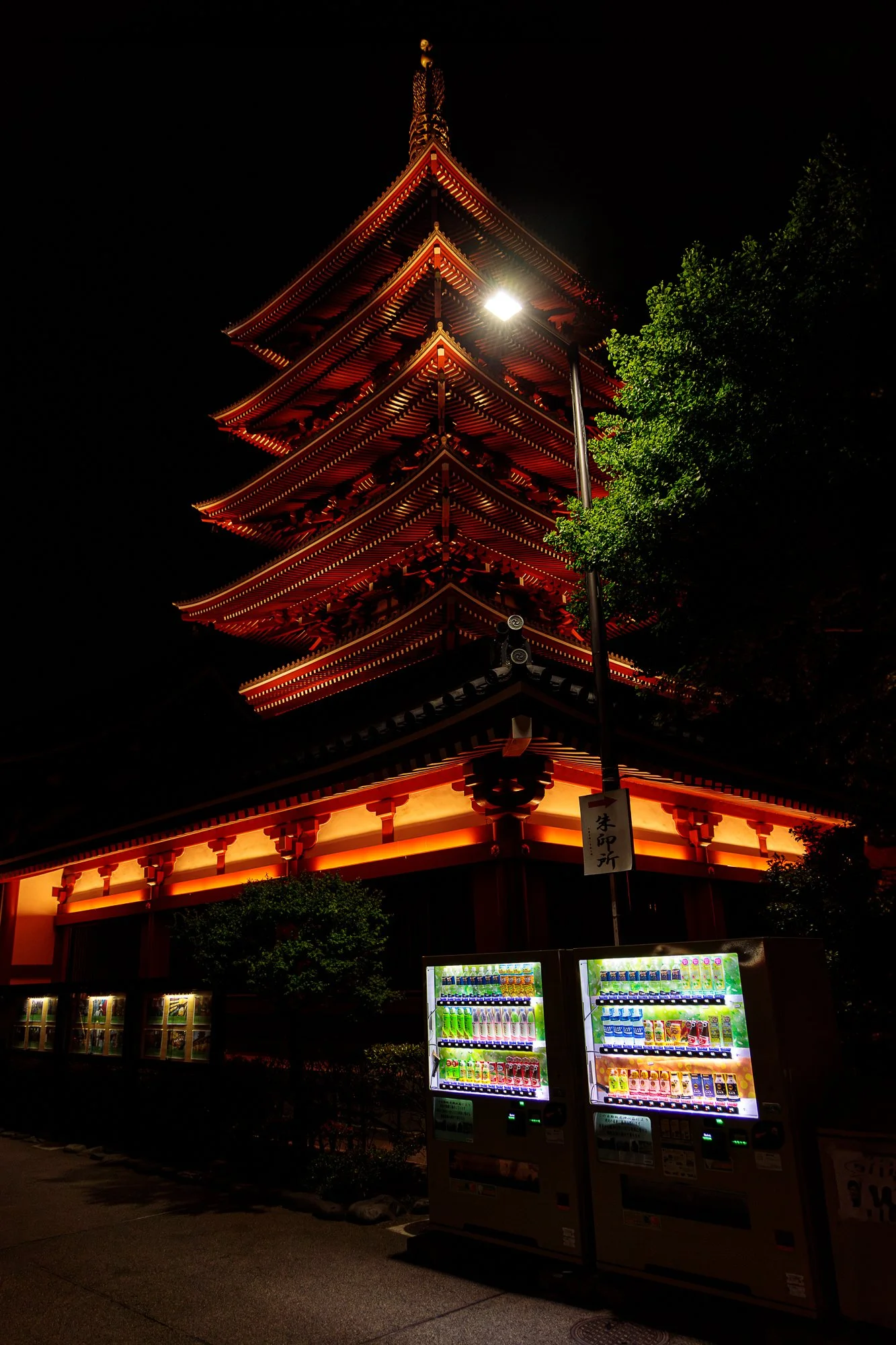 28042024-28042024-IS8A6721-Avec accentuation-Bruit.jpg