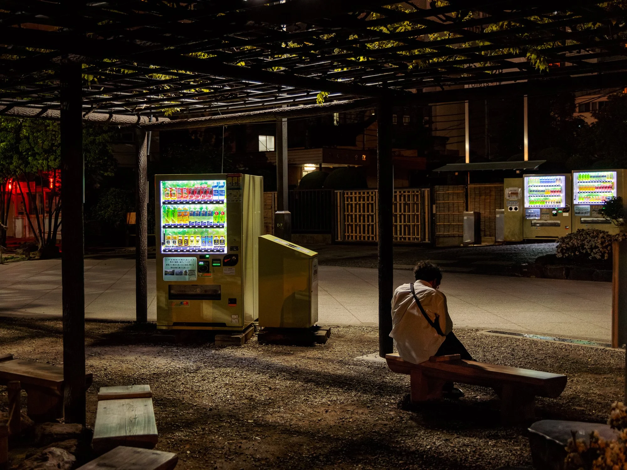 28042024-28042024-IS8A6747-Avec accentuation-Bruit.jpg