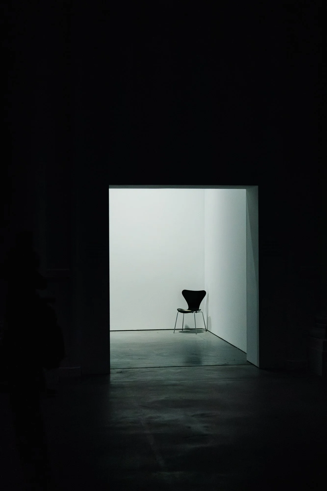 04112023-IS8A1722-Avec accentuation-Bruit.jpg