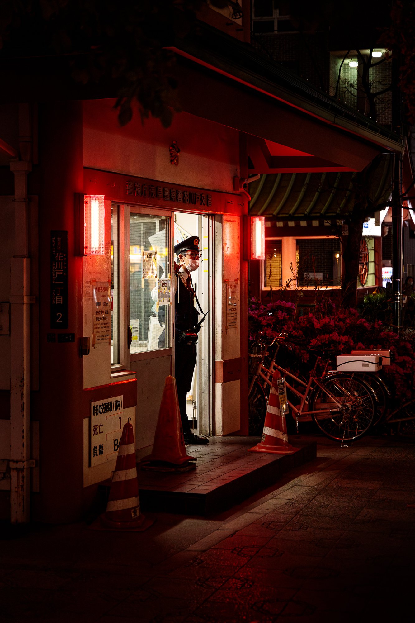 28042024-28042024-IS8A6436-Avec accentuation-Bruit.jpg