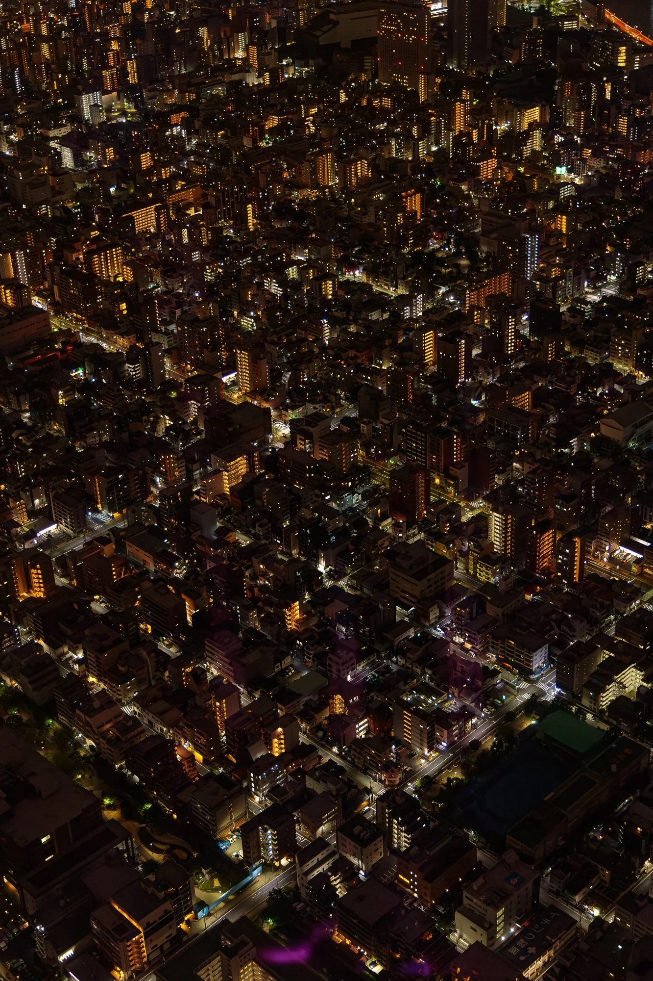 29042024-29042024-IS8A7168-Avec accentuation-Bruit.jpg