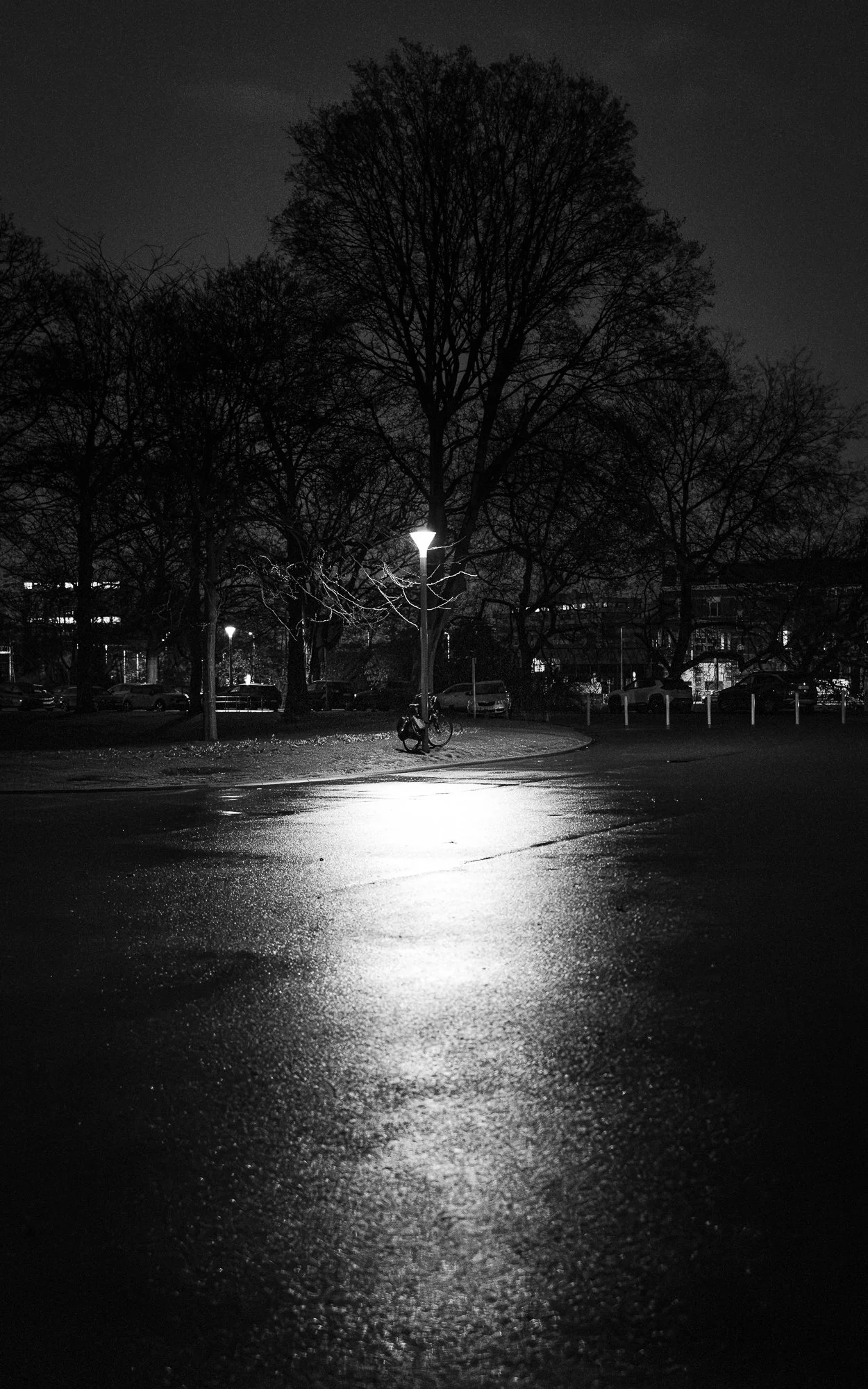 26032026-490A6905.jpg