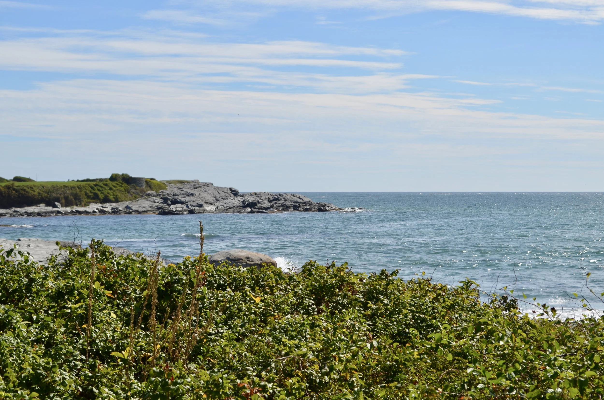 DSC_0659.jpg