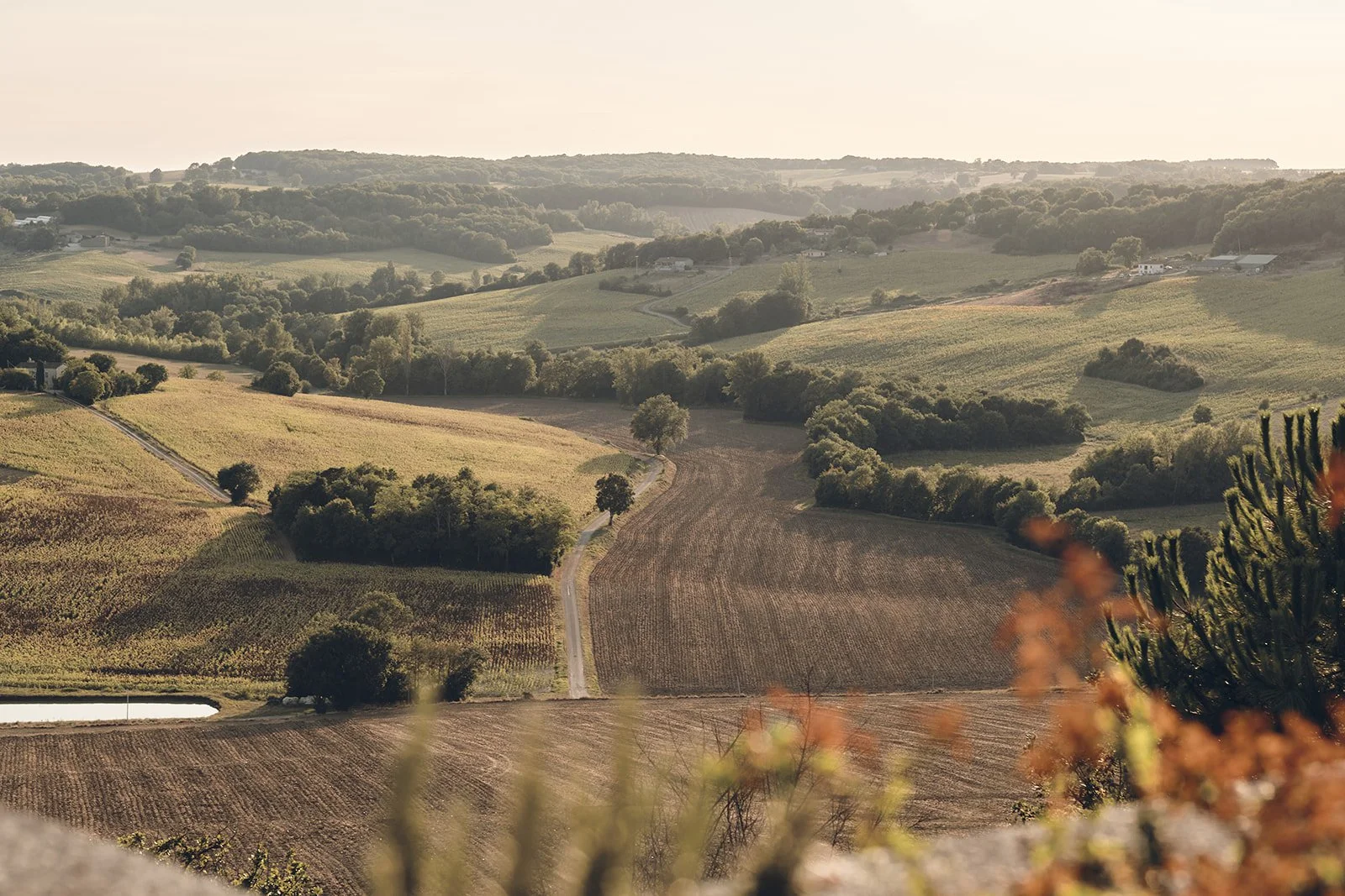 Castelnau des Fieumarcon wedding of S and G by Littlewing Photos Wedding Photographer Toulouse