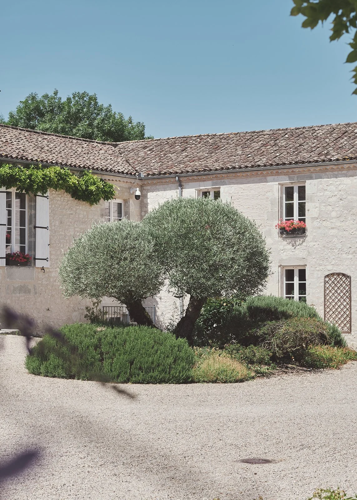 G & O Chateau de St Paul previews Littlewing Photos 3.jpg