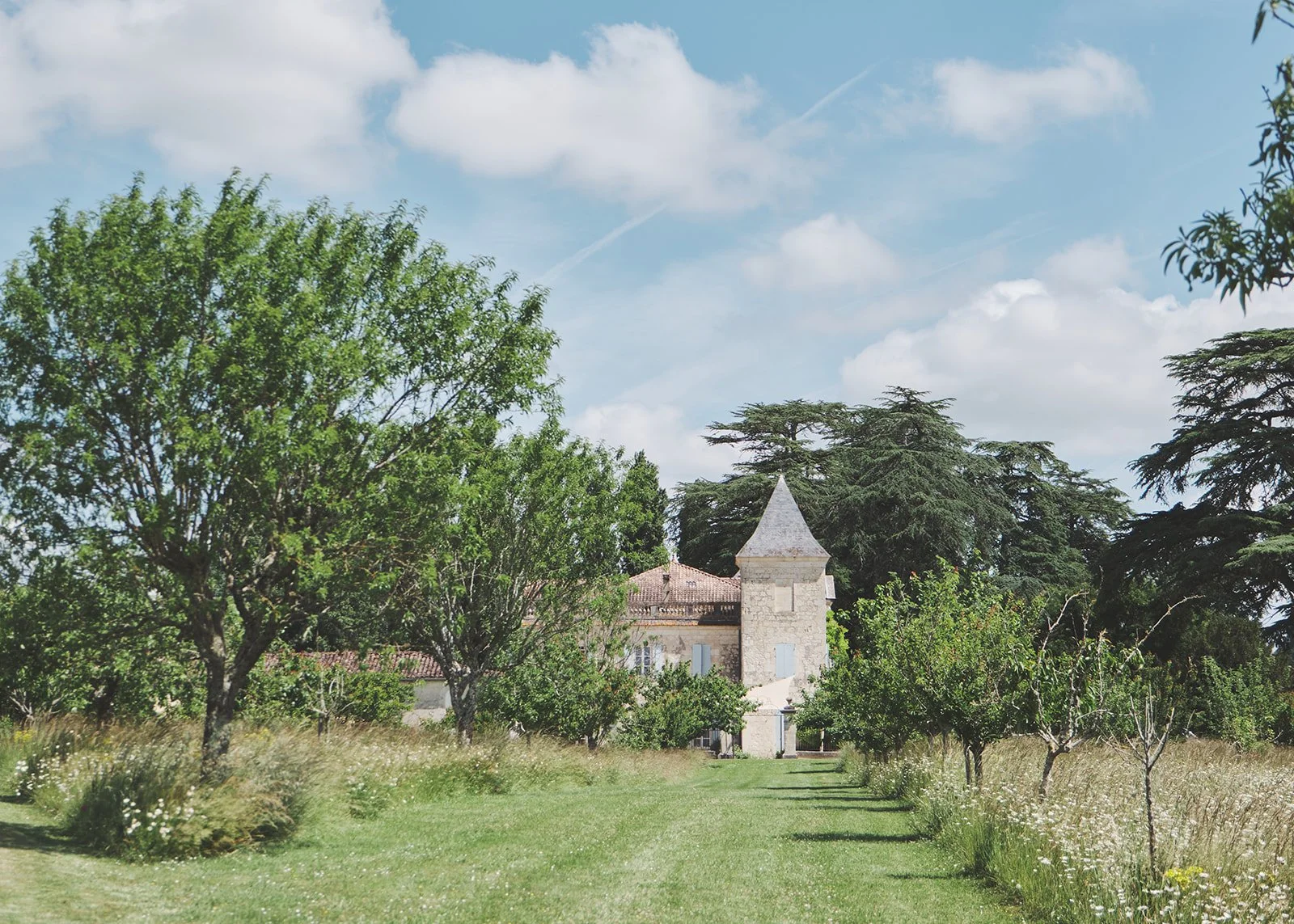 Littlewing Photos Wedding Photographer France