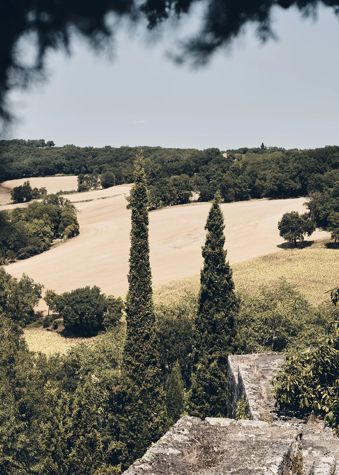 Castelnau des Fieumarcon wedding of S and G by Littlewing Photos Wedding Photographer Toulouse