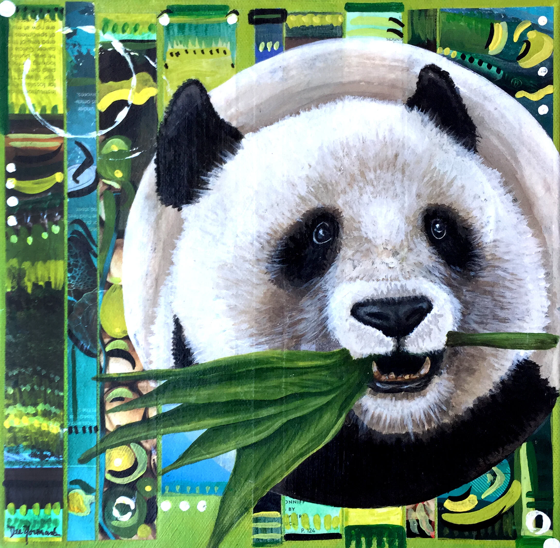 Panda 10 x 10 multimedia gallery wrapped $250