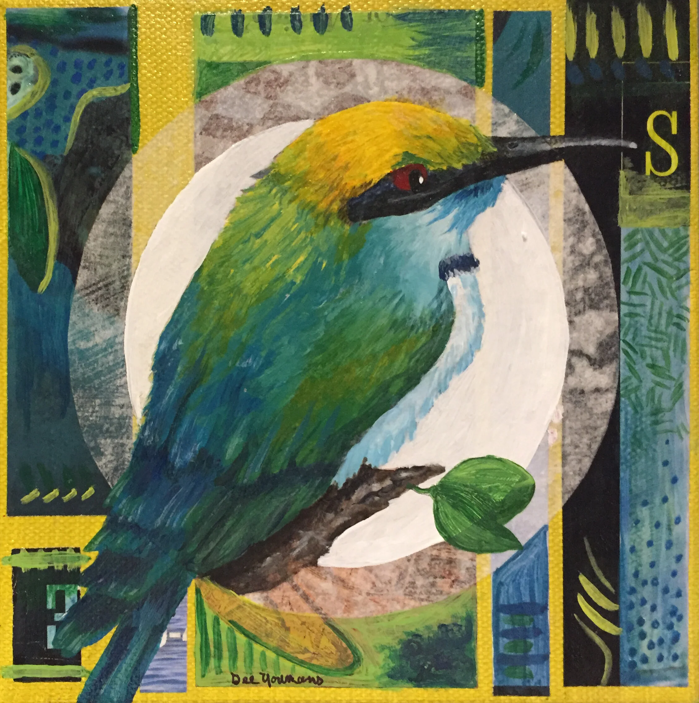 Kingfisher 6 x 6  multimedia gallery wrapped $150