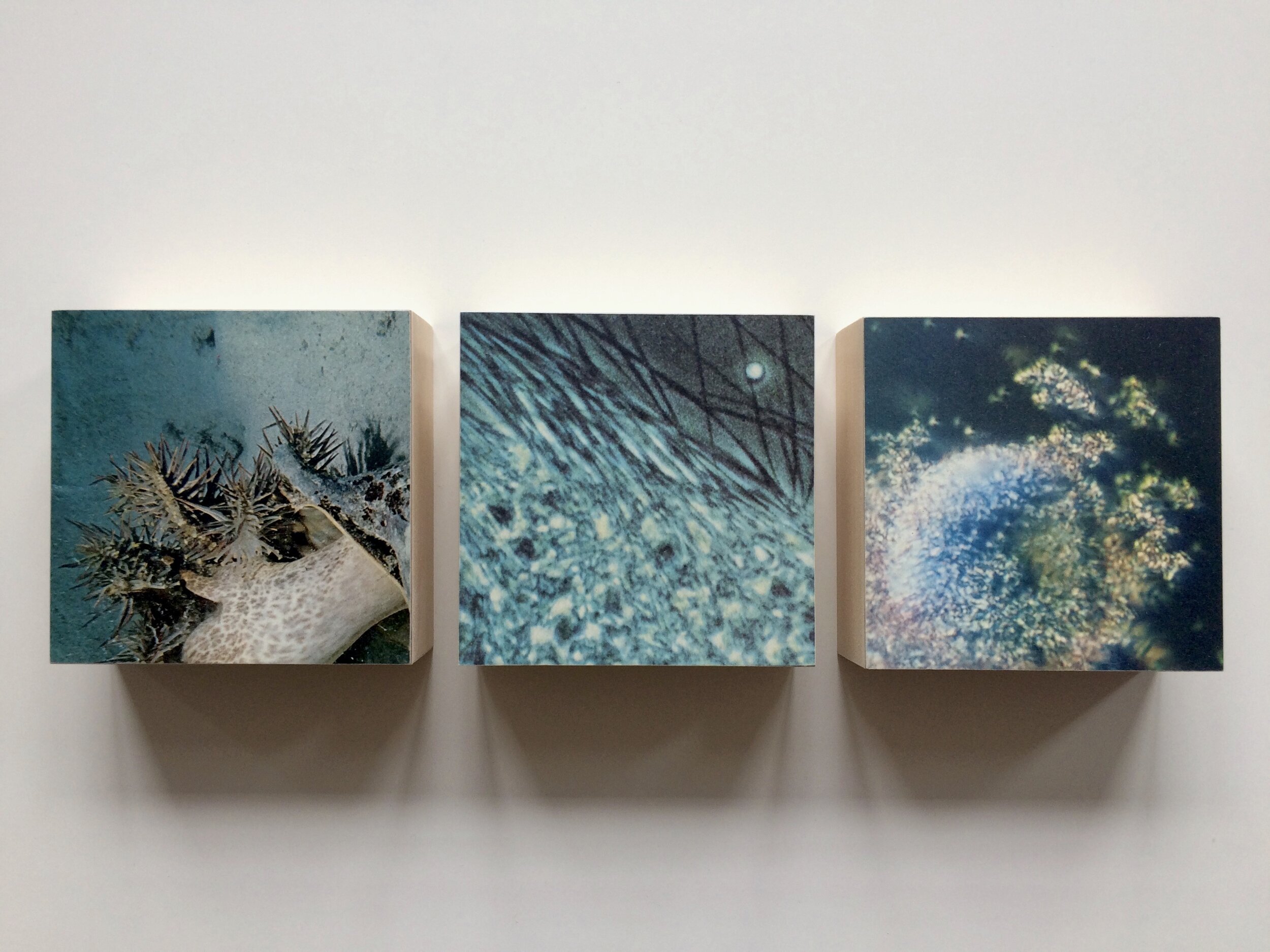 Triptych 35, 2020
