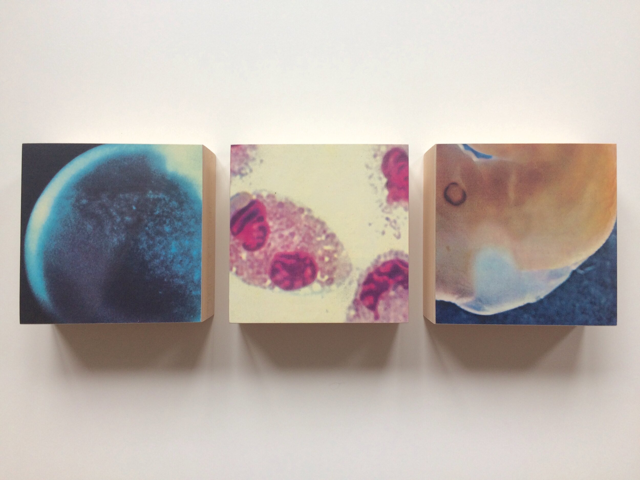 Triptych 68, 2021