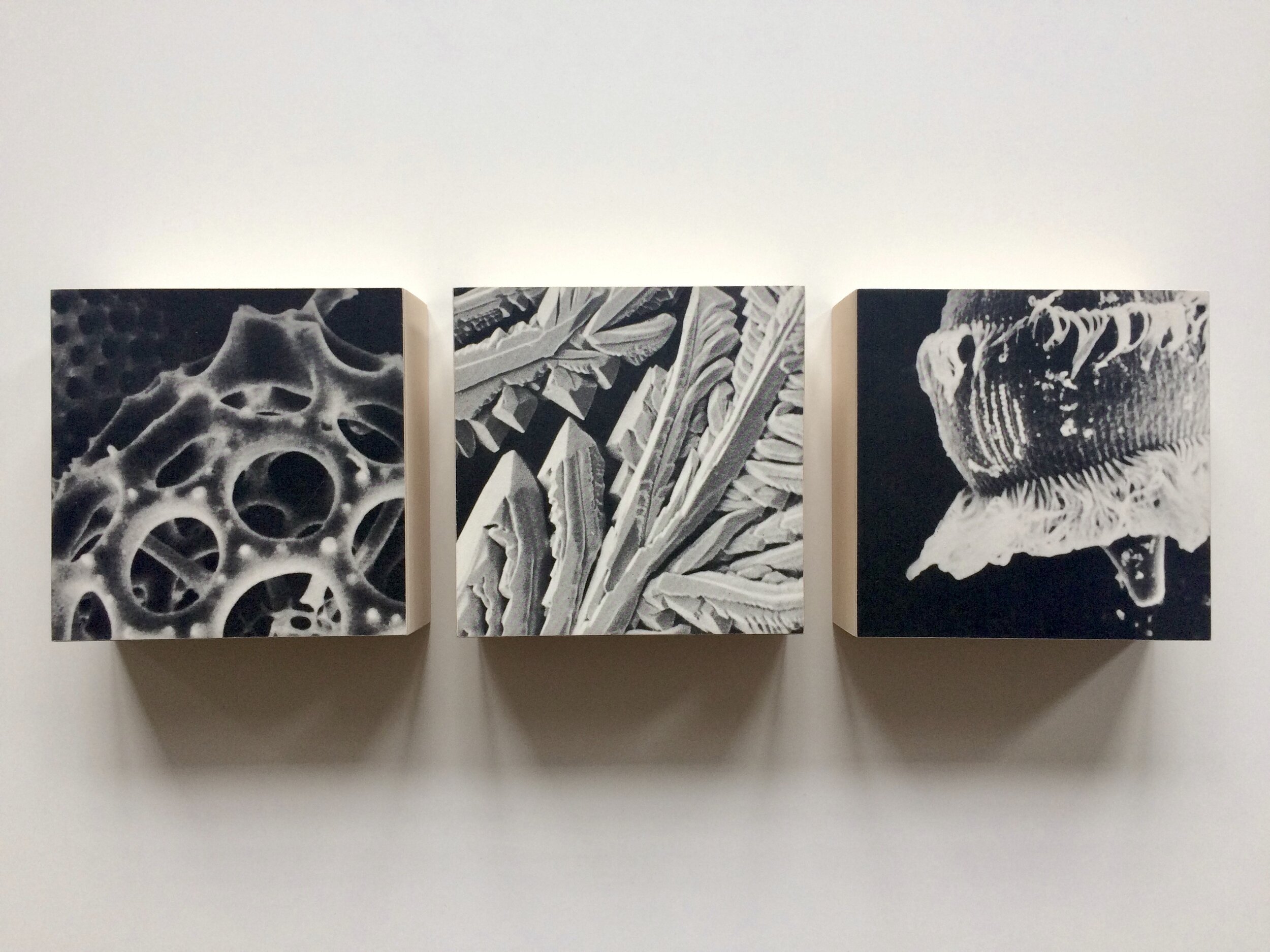 Triptych 36, 2020