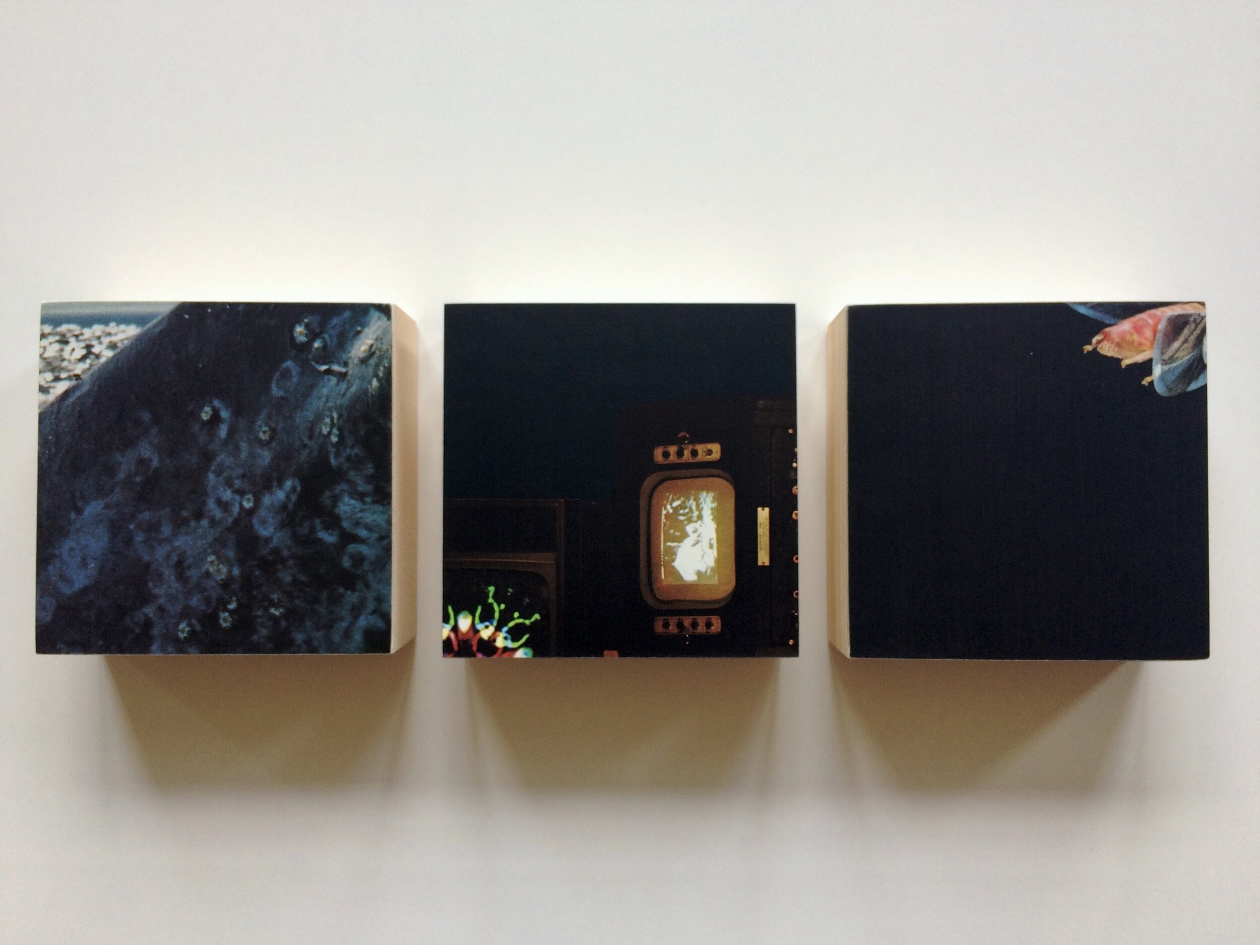 Triptych 42, 2020