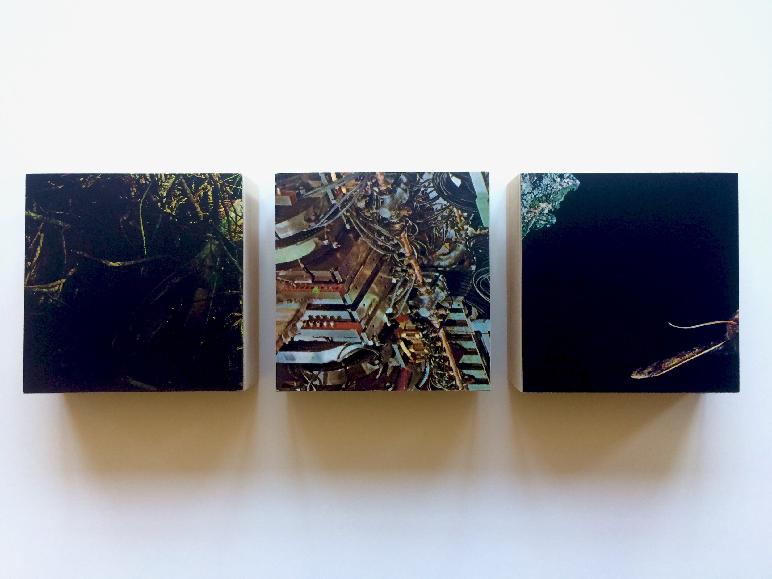Triptych 54, 2020